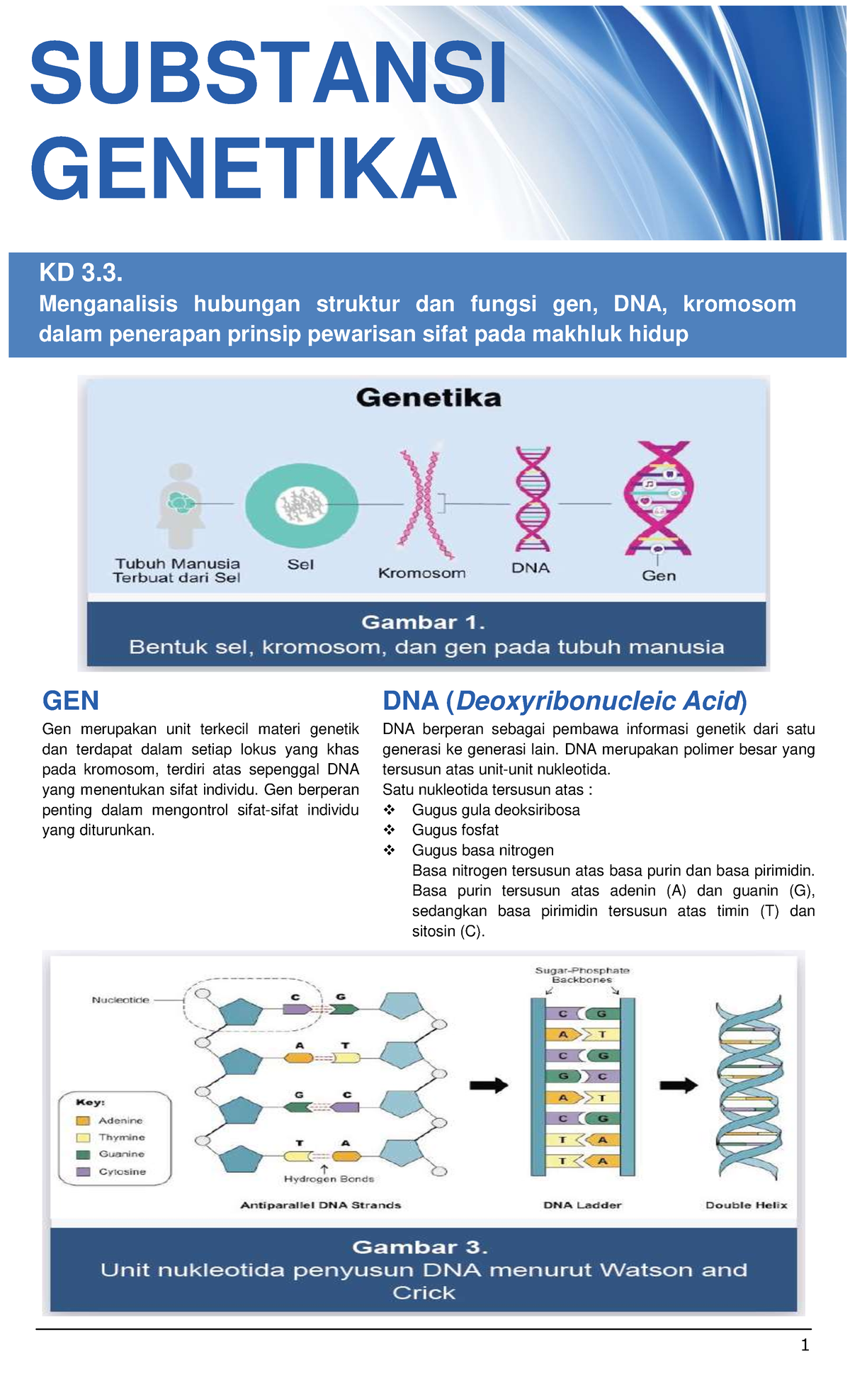 Materi Substansi Genetika Gen Gen Merupakan Unit Terkecil Materi