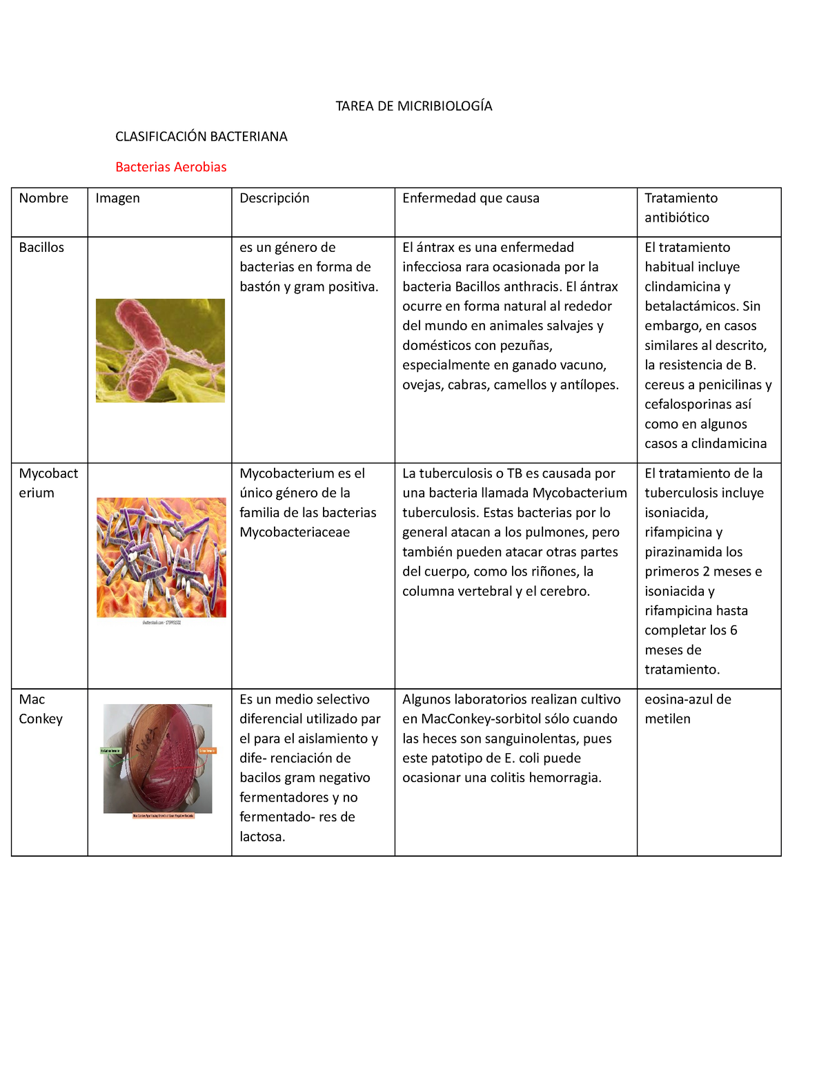 clasificacion de las bacterias anaerobias