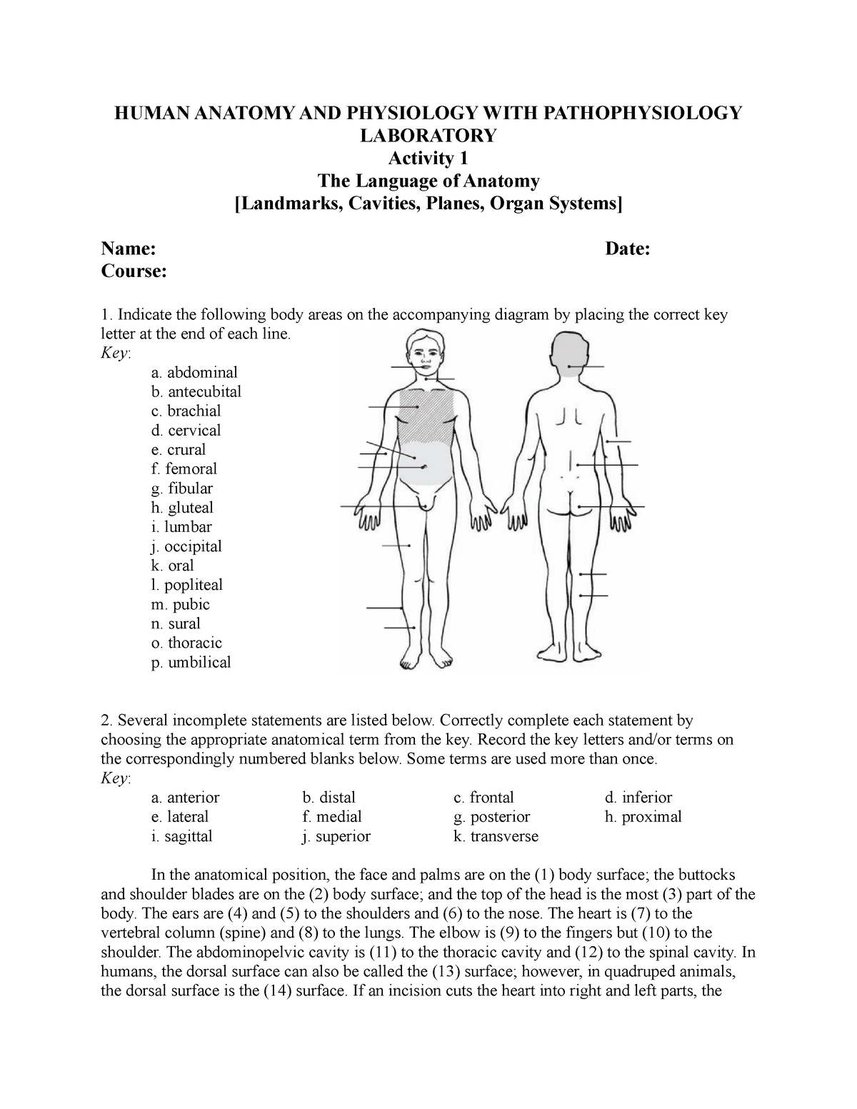 Activity 1 Part 2 - MedTech - HUMAN ANATOMY AND PHYSIOLOGY WITH ...