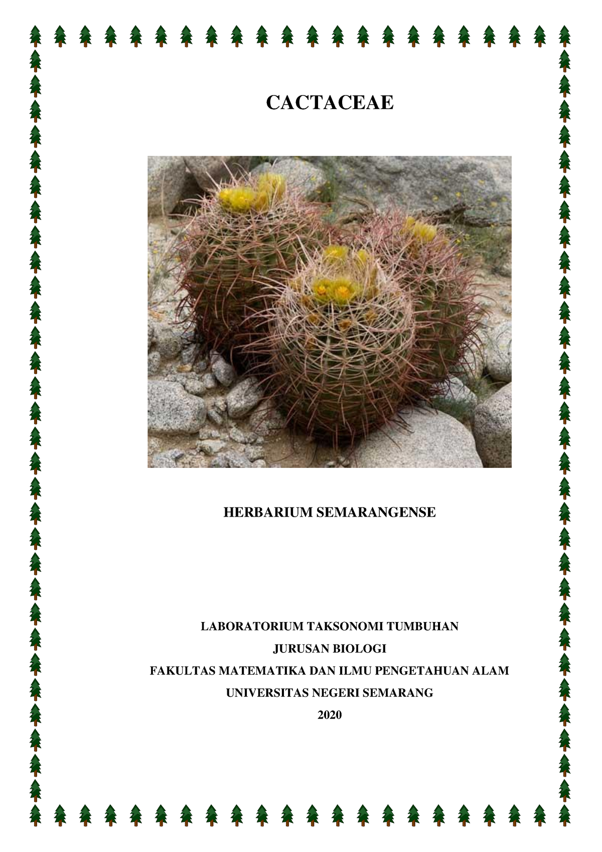 Album Cactaceae Taksonomi Kaktus Mulai Dari Ciri Klasifikasi Dan Habitat I Cactaceae 6970