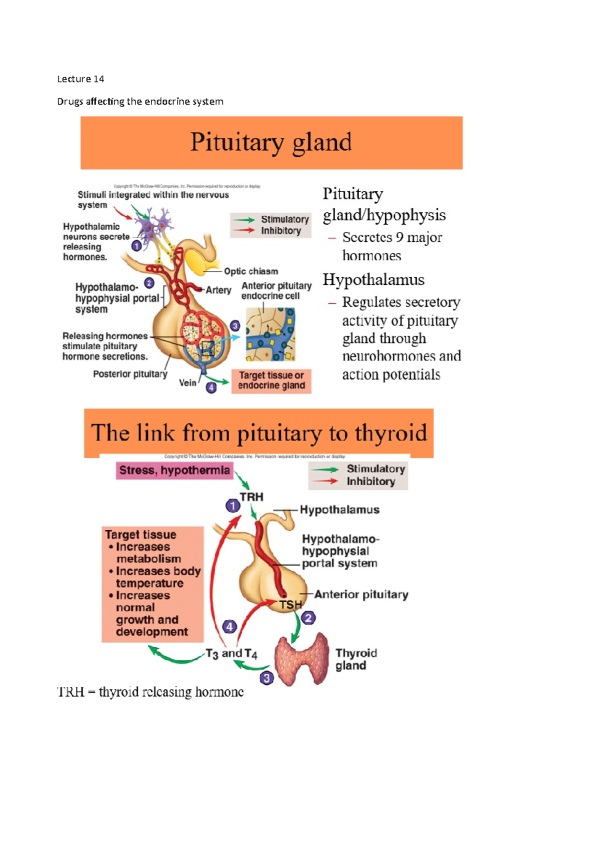 Lecture 14 Drugs affecting the endocrine system Lecture 14 Drugs