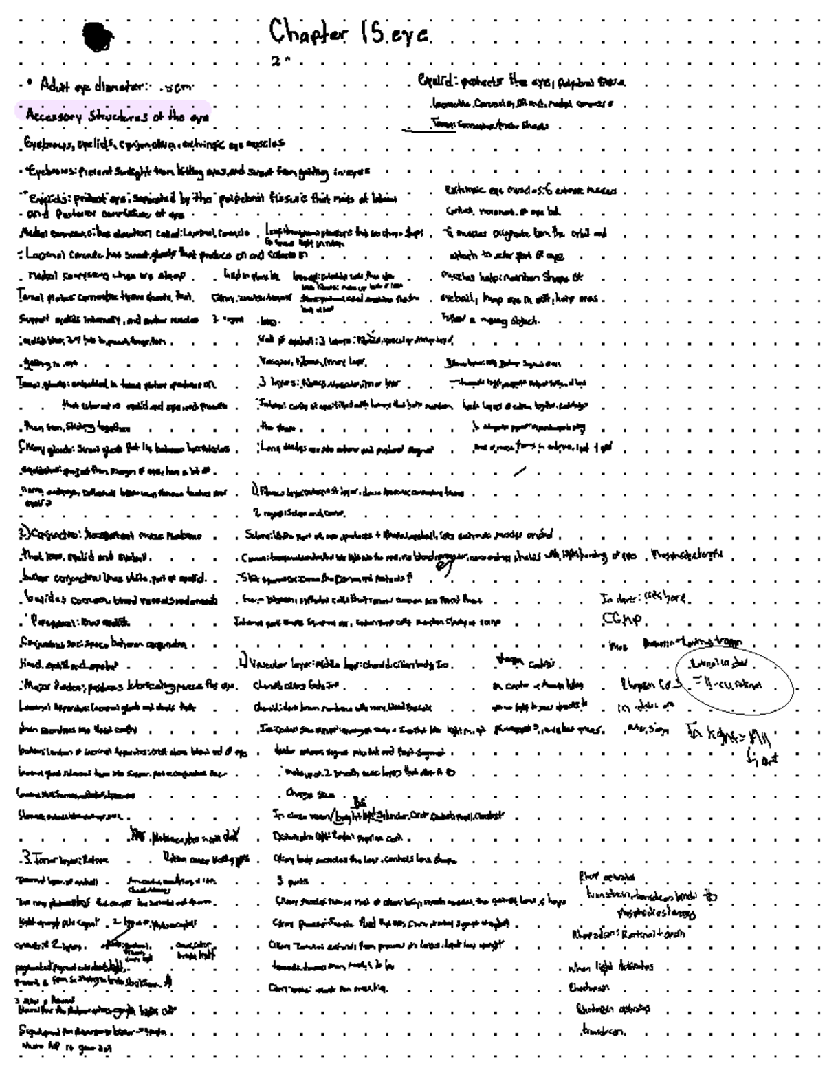 Anatomy Notes midterm - BIOL 237 - Studocu