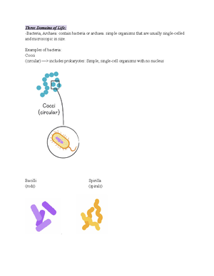 Lab 9 - Geologic Time - Notes On Lab 9 - Lab 9 Geologic Time Name ...