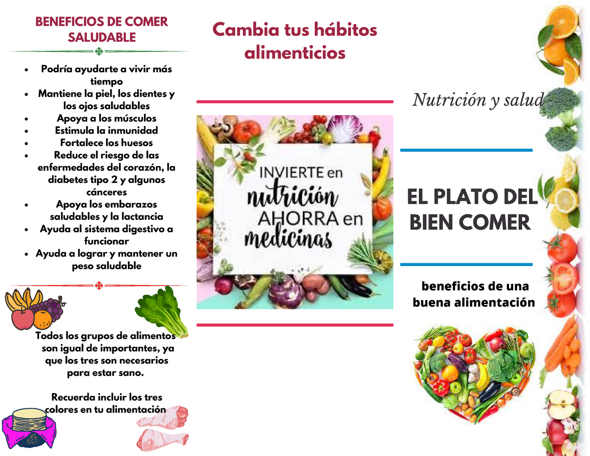 Plato Del Bien Comer Beneficios De Comer Saludable Cambia Tus Hábitos