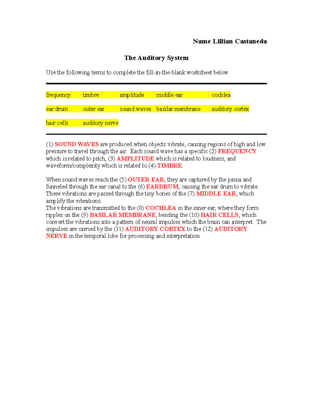 3 Auditory system - Lillian Castaneda - Name Lillian Castaneda The ...