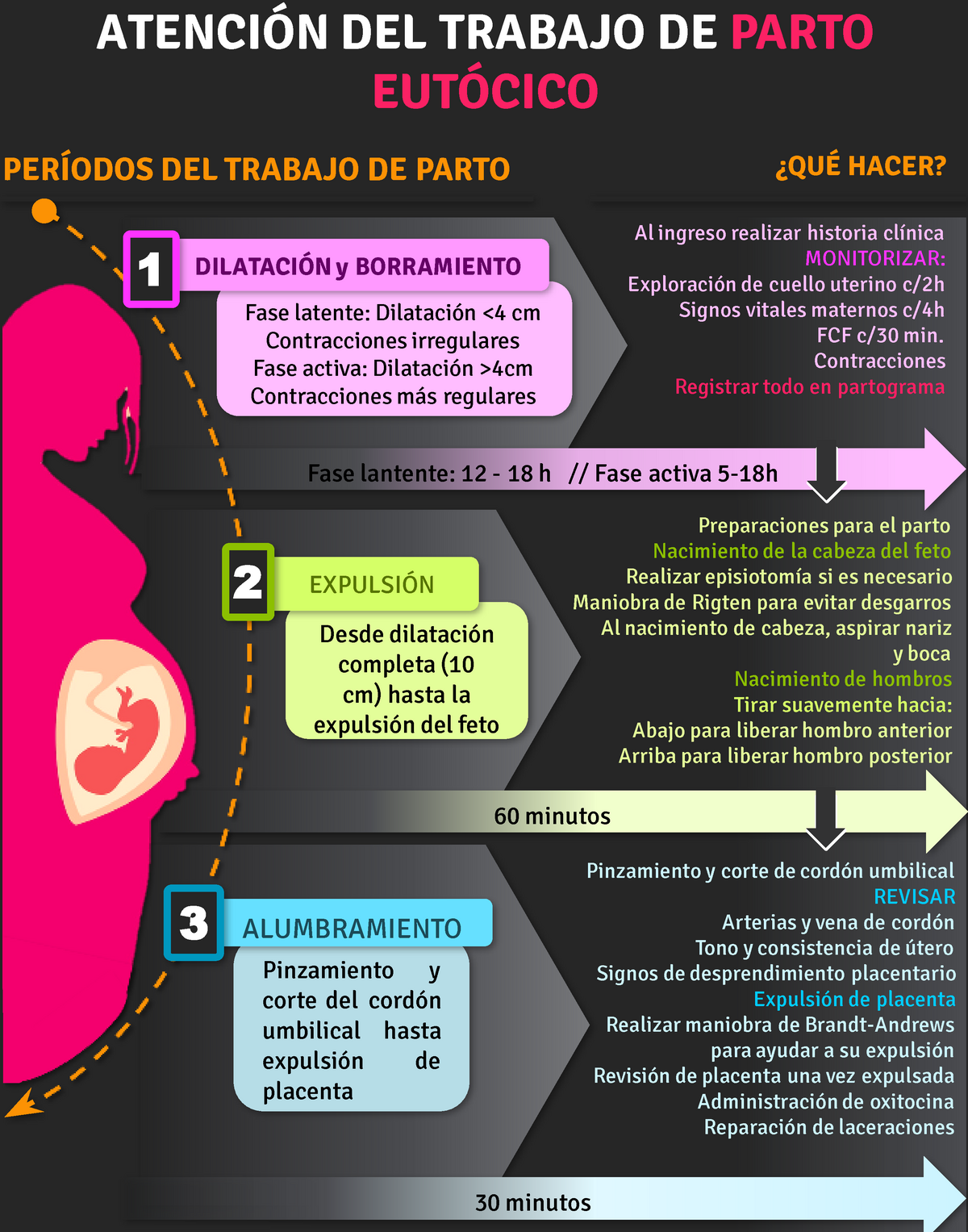 Atencion Del Trabajo De Parto Eutócico Infografía AtenciÓn Del Trabajo De Parto EutÓcico Hacer