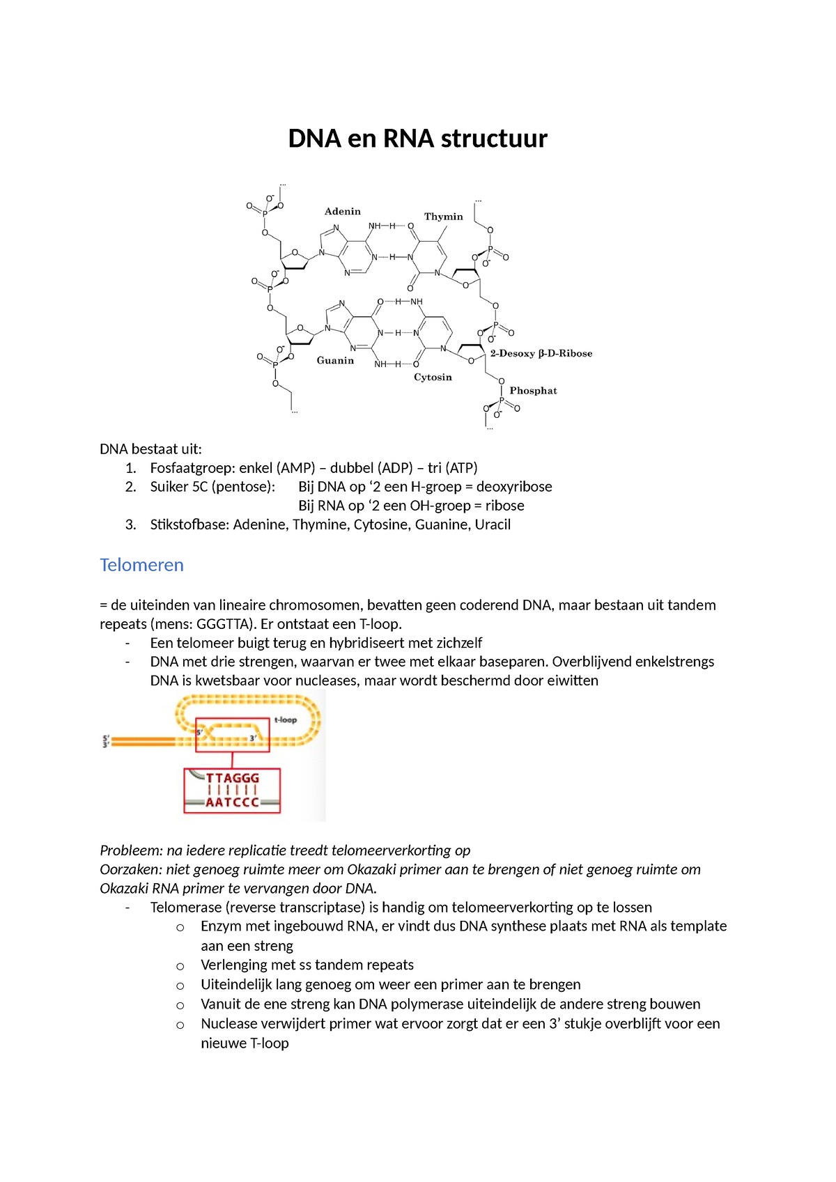 Moleculaire Biologie Samenvatting - DNA En RNA Structuur DNA Bestaat ...