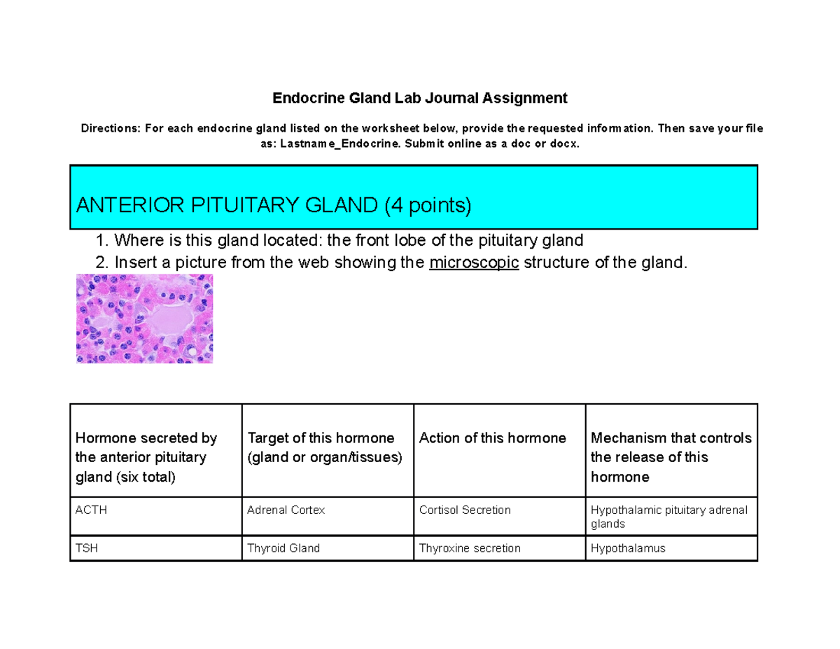 endocrine gland lab journal assignment quizlet