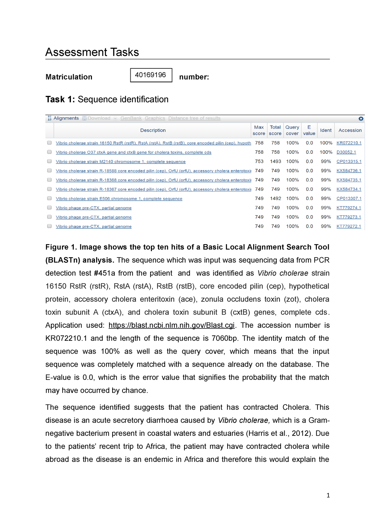 bioinformatics essay questions