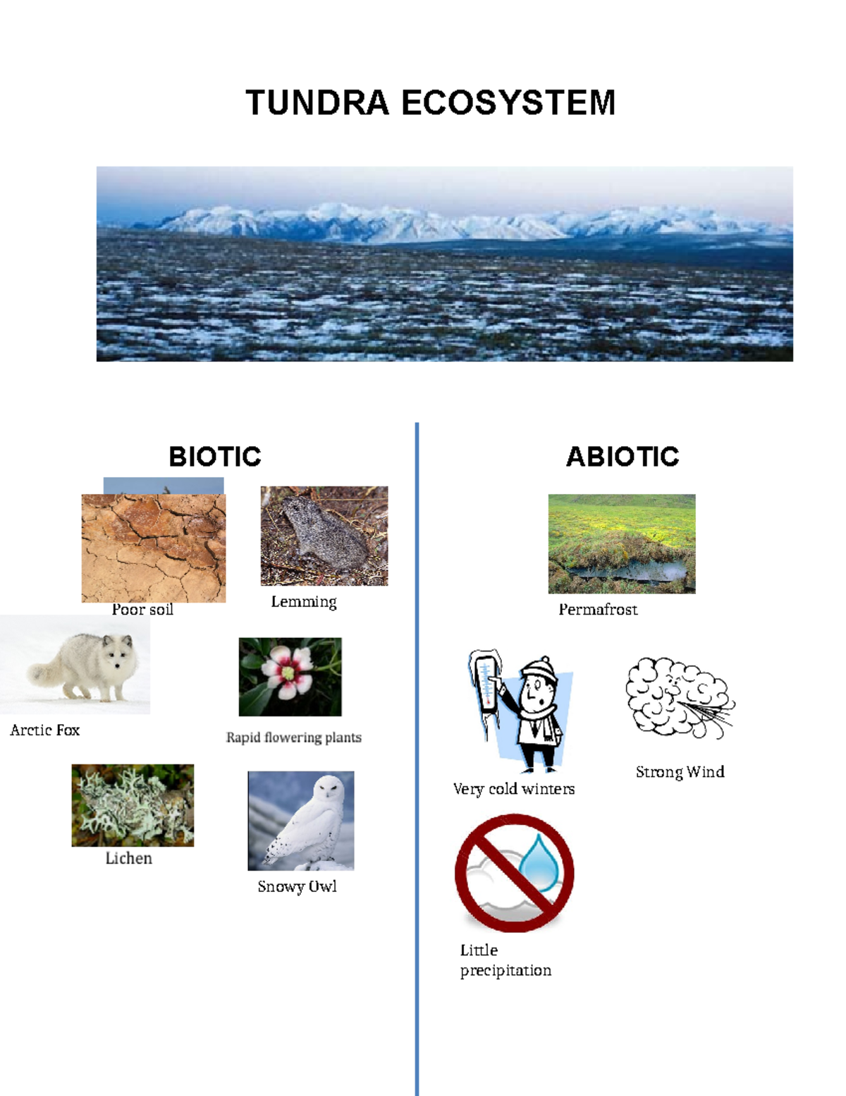 Biotic and abiotic activity TUNDRA ECOSYSTEM BIOTIC ABIOTIC Arctic