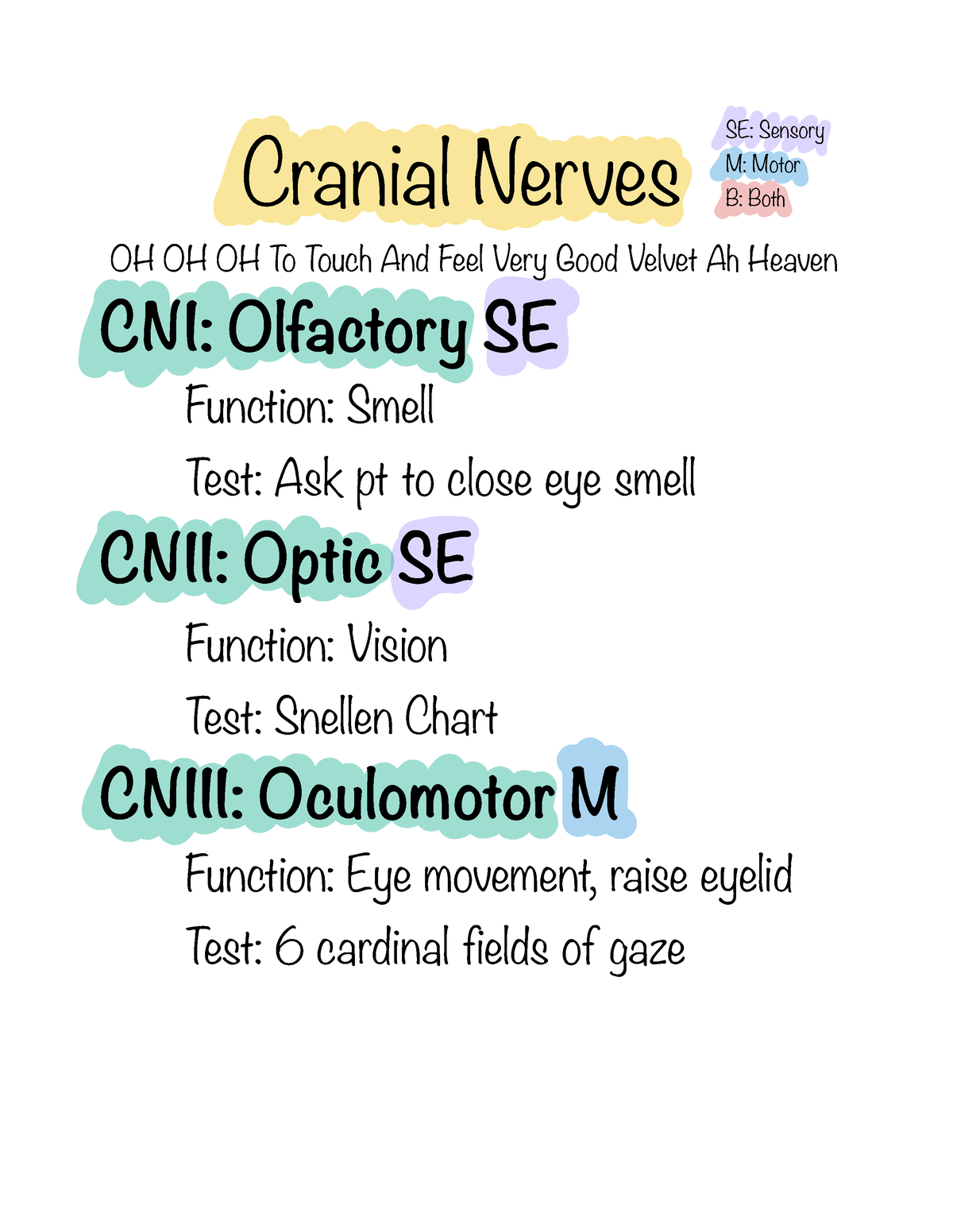 Cranial Nerves notes - OH OH OH To Touch And Feel Very Good Velvet Ah ...