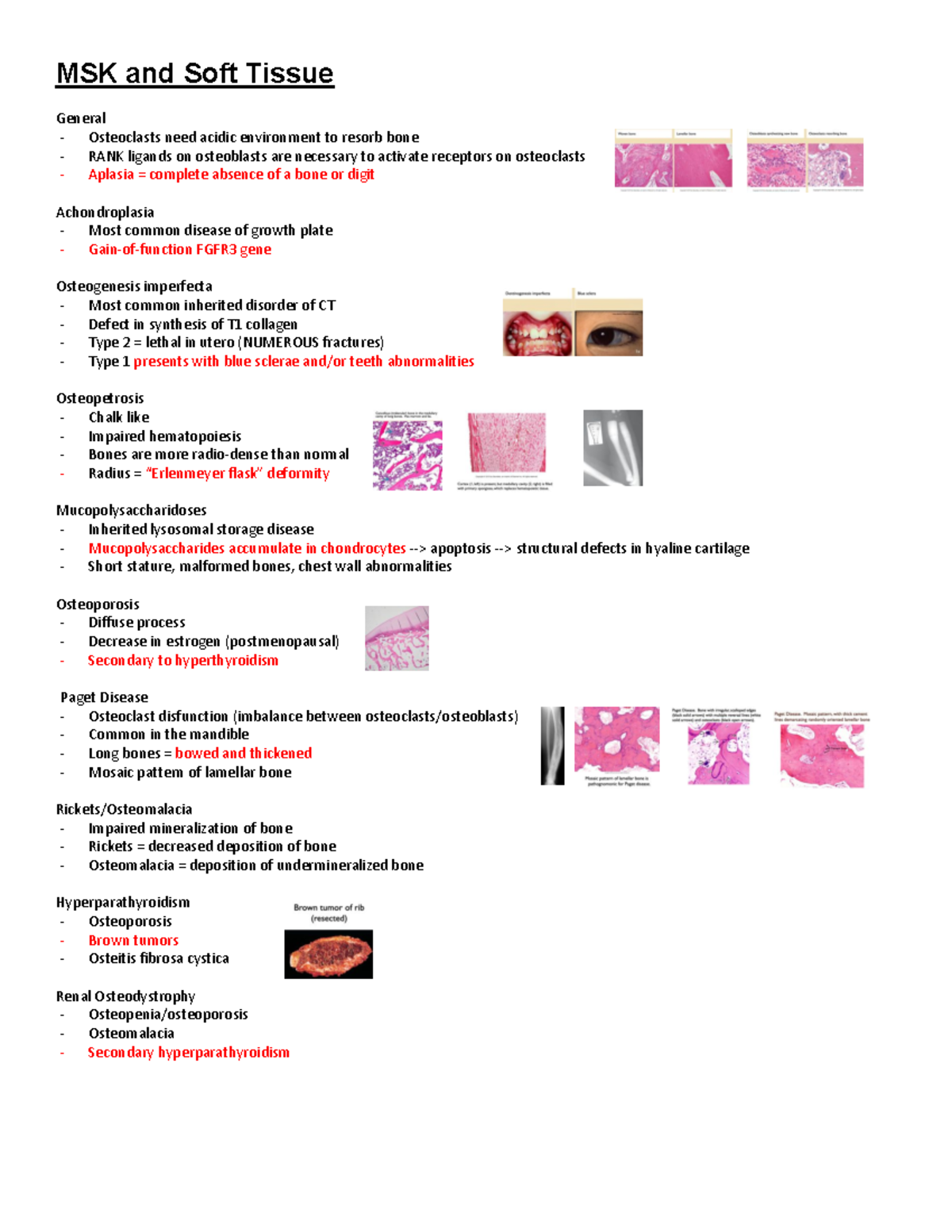 MSK - Path SG - MSK - Path SG - MSK and Soft Tissue General Osteoclasts ...