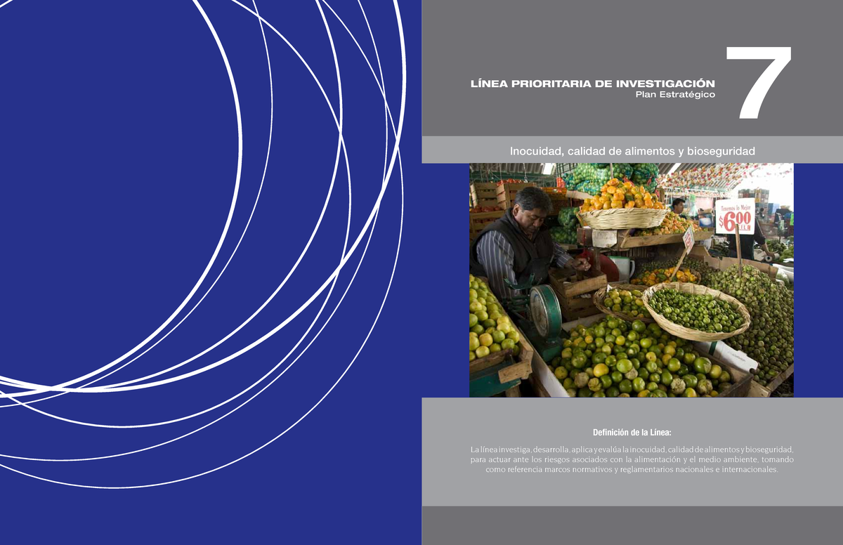 PE LPI 7 - INOCUIDAD ALIMENTARIA Y BIOSEGURIDAD - 77 Plan Estratégico ...