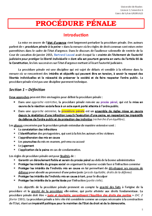 Procedure Penale - Cours magistral de procédure pénale, semestre 2 ...