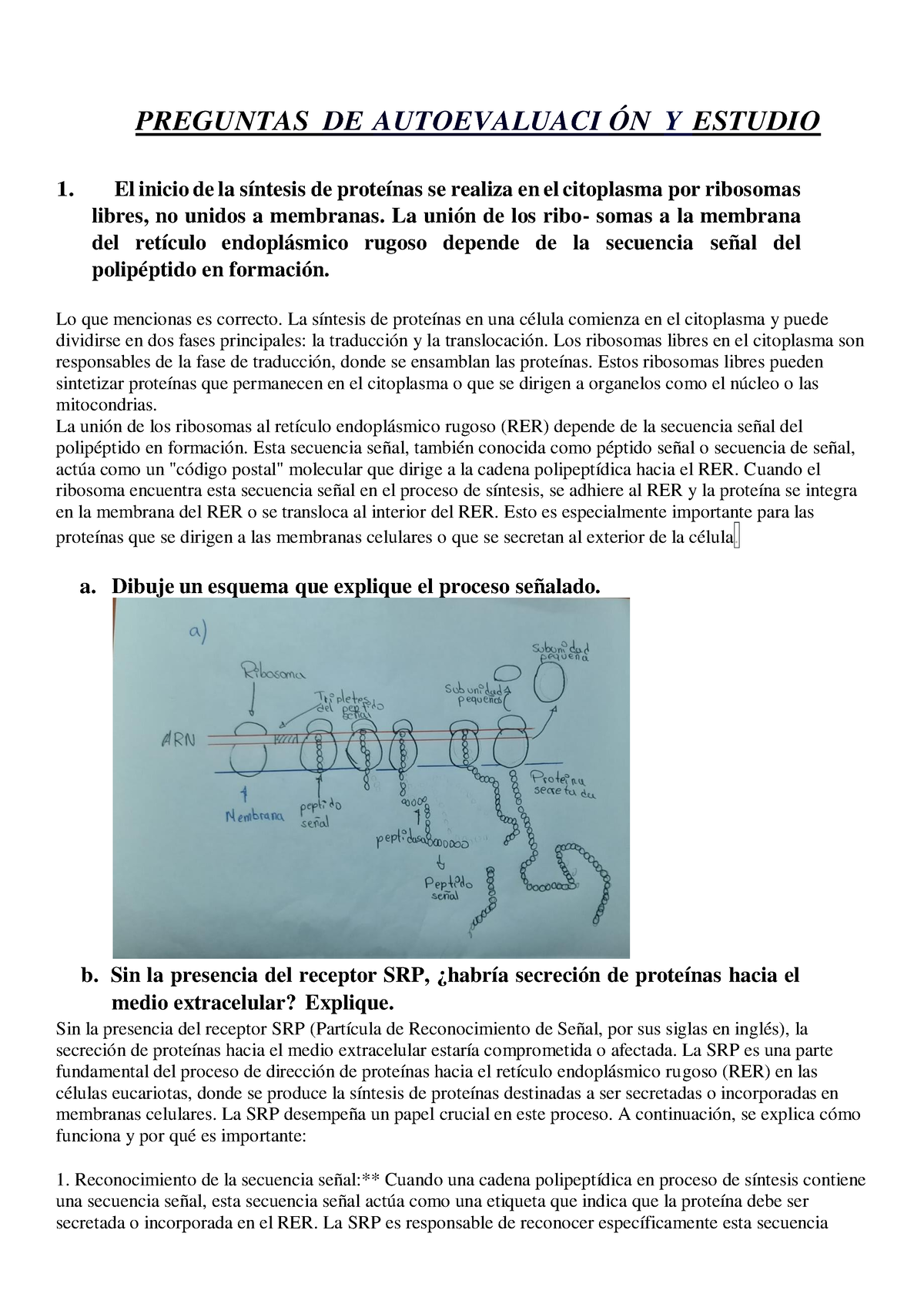 Preguntas De Evaluación Y Estudio Primer Ciclo (ronal) - PREGUNTAS DE ...