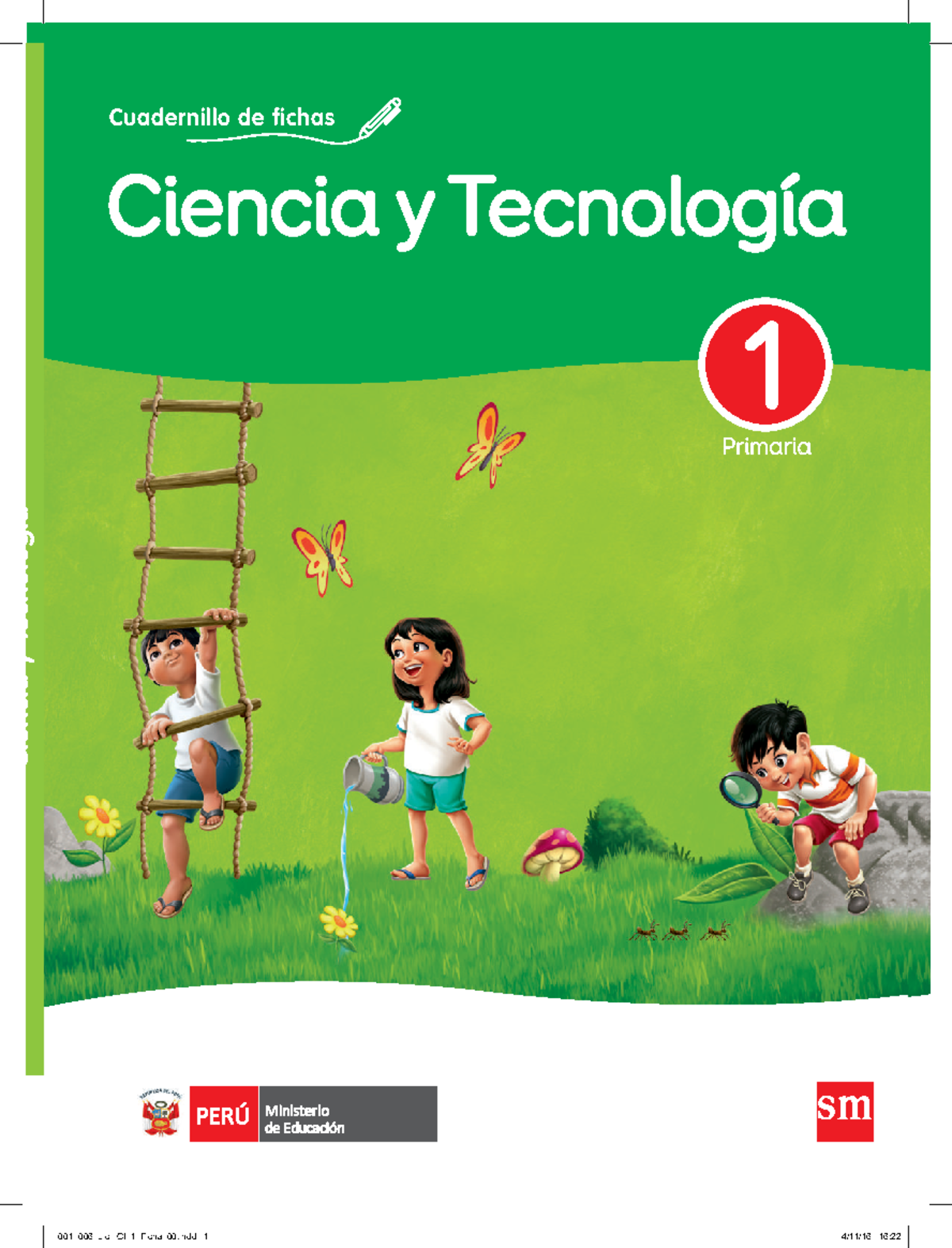 Cuaderno de fichas Ciencia y Tecnología. Primer grado - Cuadernillo de ...