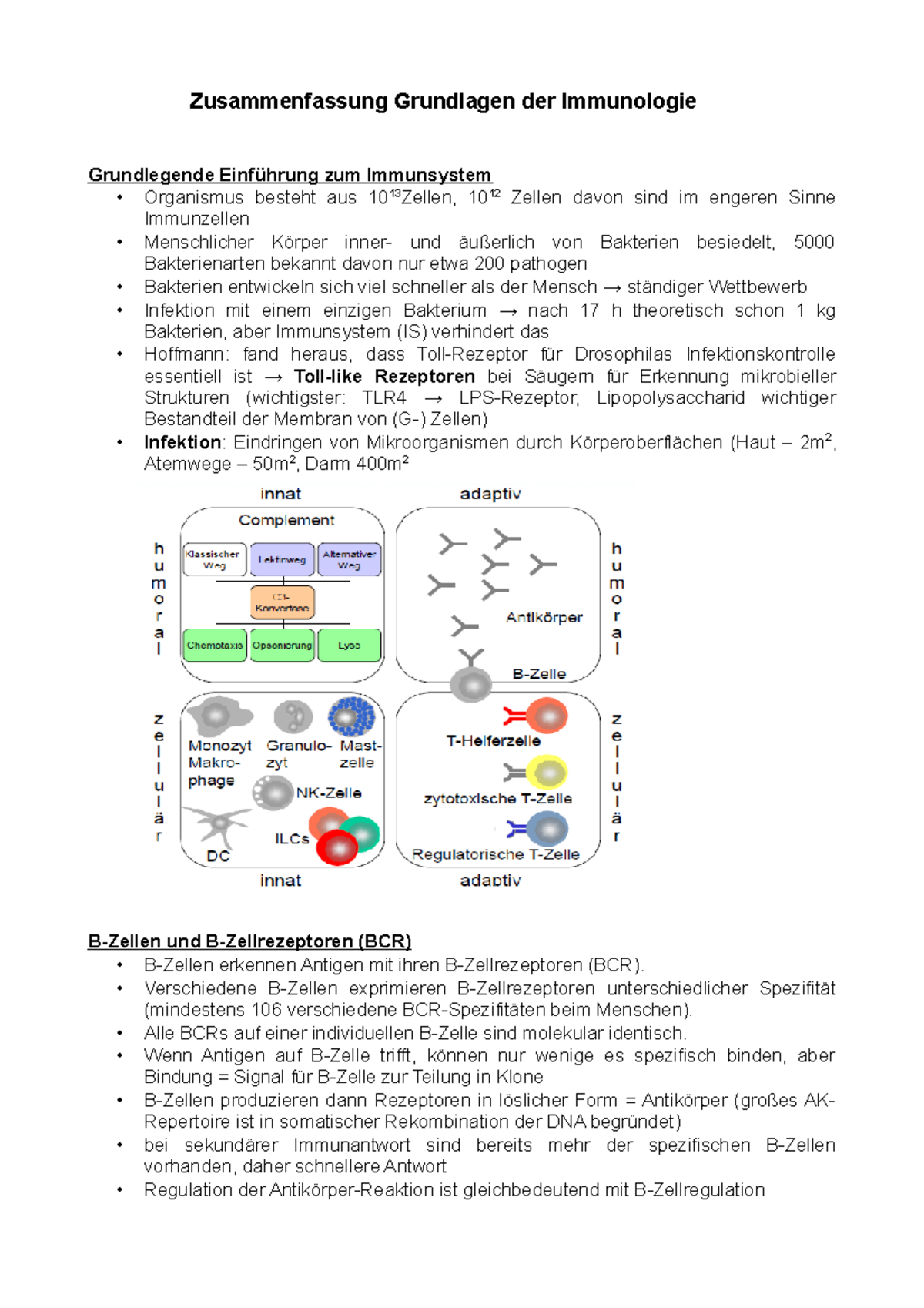 Grundlagen Der Immunologie Zsf - Grundlegende Einführung Zum ...