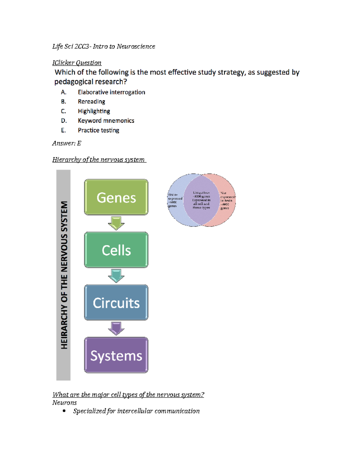 Life Sci 2CC3 Lecture 3 (Ch. 1) Life Sci Intro to Neuroscience