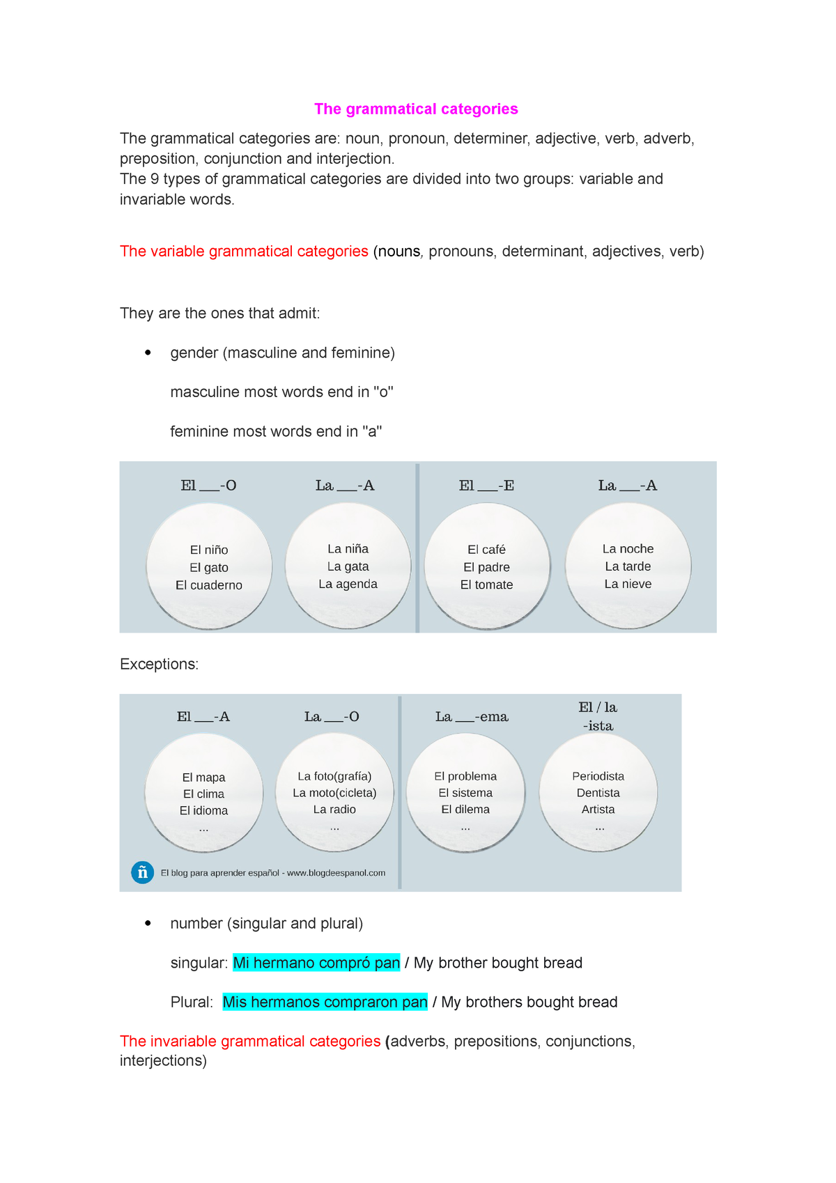 What Are The Types Of Grammatical Categories