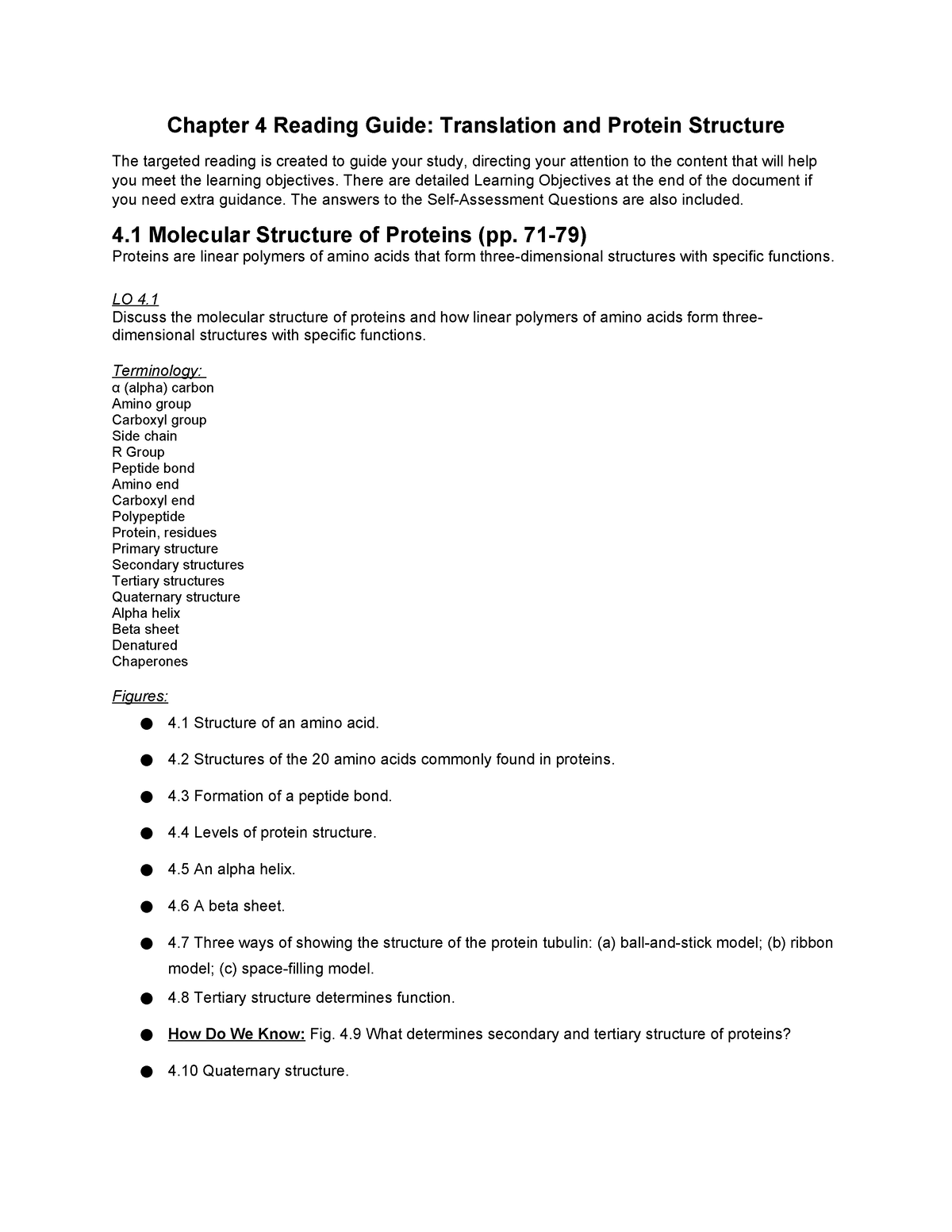 Ch 4 Reading Guide - Notes - Chapter 4 Reading Guide: Translation And ...