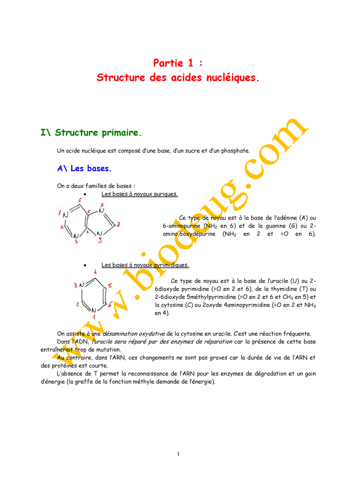 L12 Biologiemoleculaire Chap1 - Partie 1 : Structure Des Acides ...