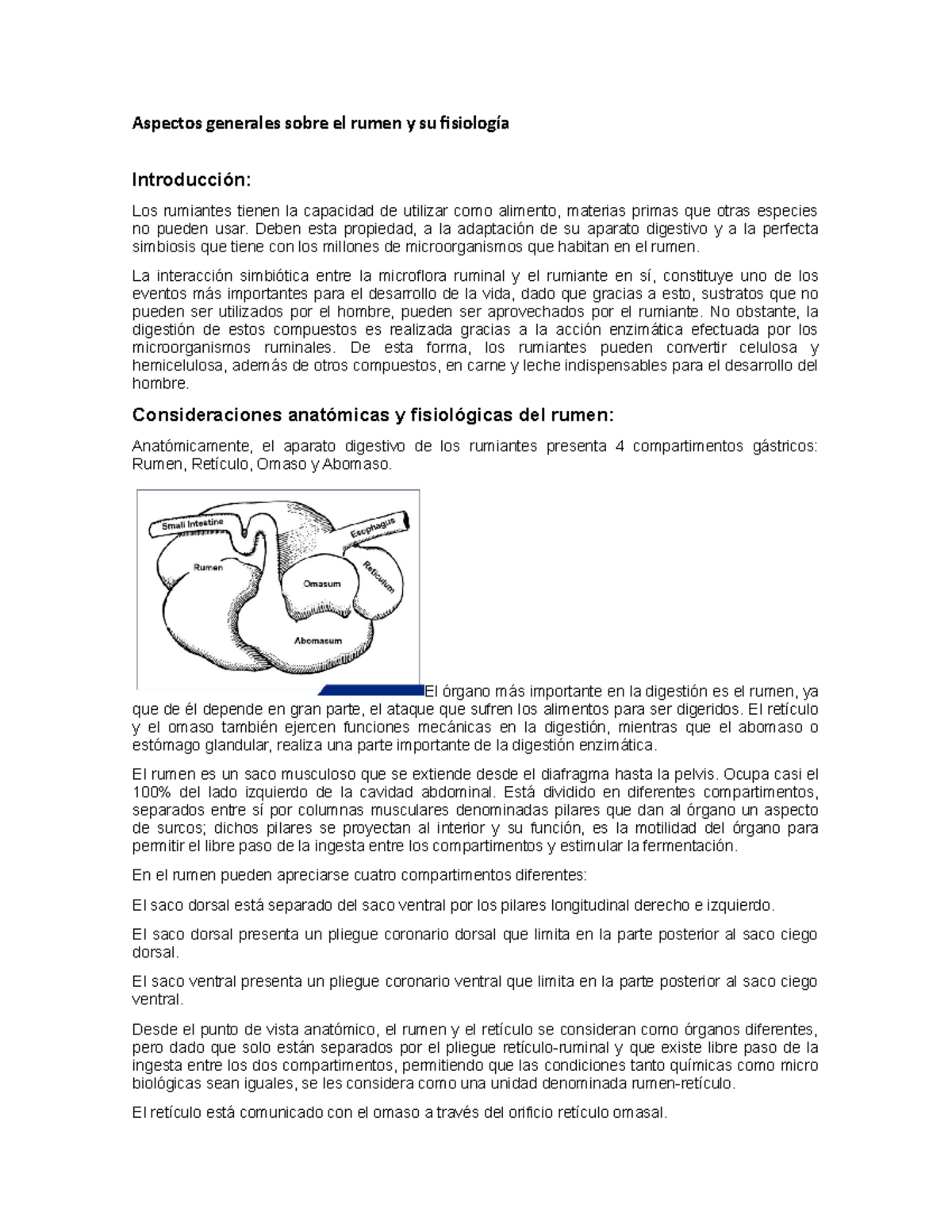 Aspectos generales sobre el rumen y su fisiología - Aspectos generales ...