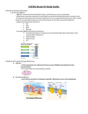 Cell Bio Exam #3 - Study Guide for Exam #3 - Cell Bio Exam #3 Study ...