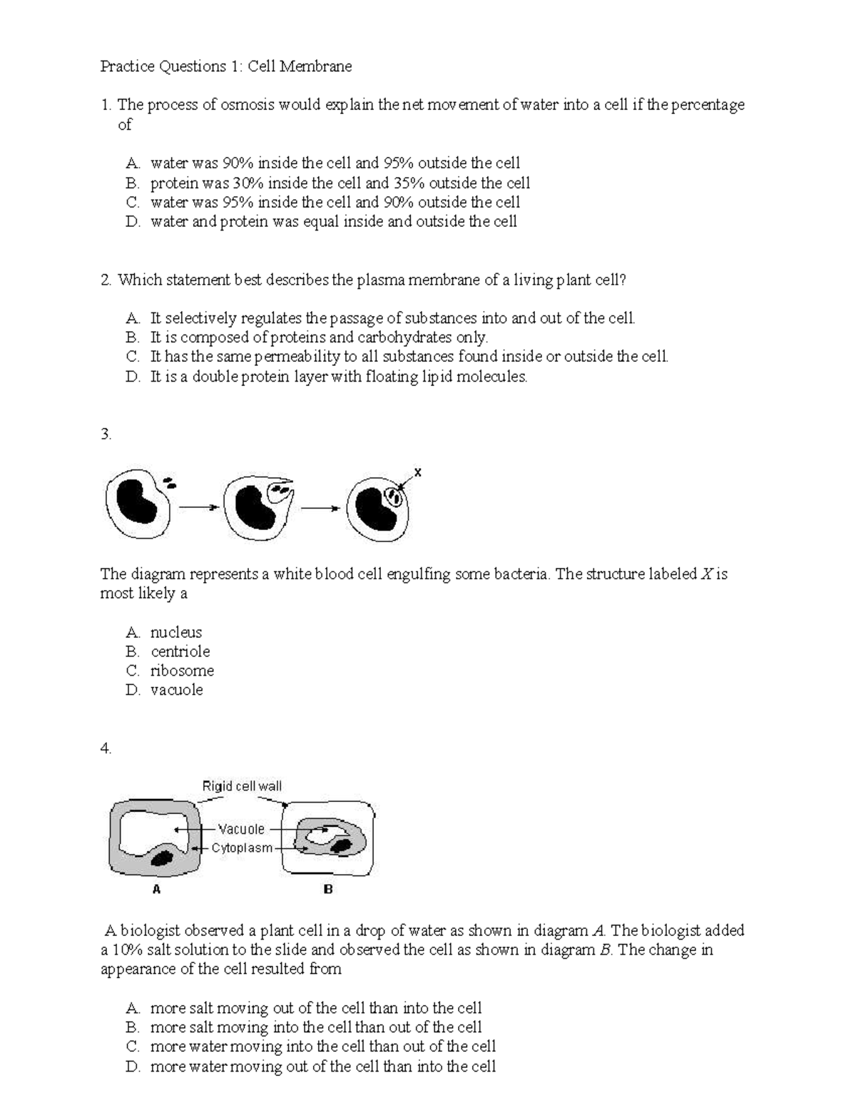 Cell membrane - answers - Practice Questions 1: Cell Membrane The ...