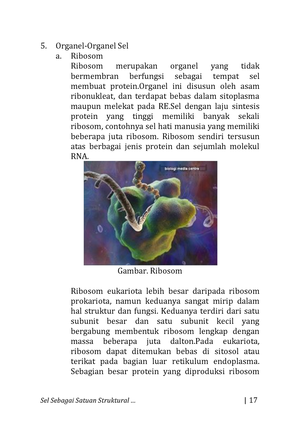 Biologi PDF-24 - Tugas - Sel Sebagai Satuan Struktural ... | 17 Organel ...