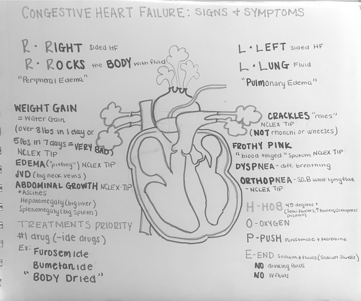 Document - Pathophysiology of Congestive Heart Failure - NSG 120 - Studocu