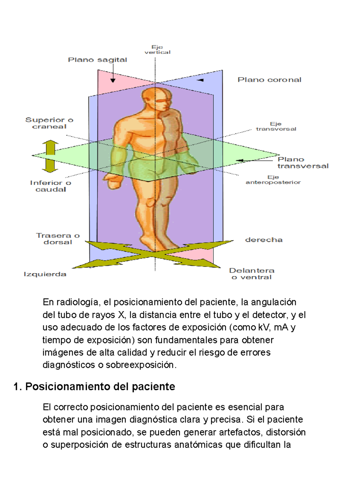 Radiologia clinica - En radiología, el posicionamiento del paciente, la ...