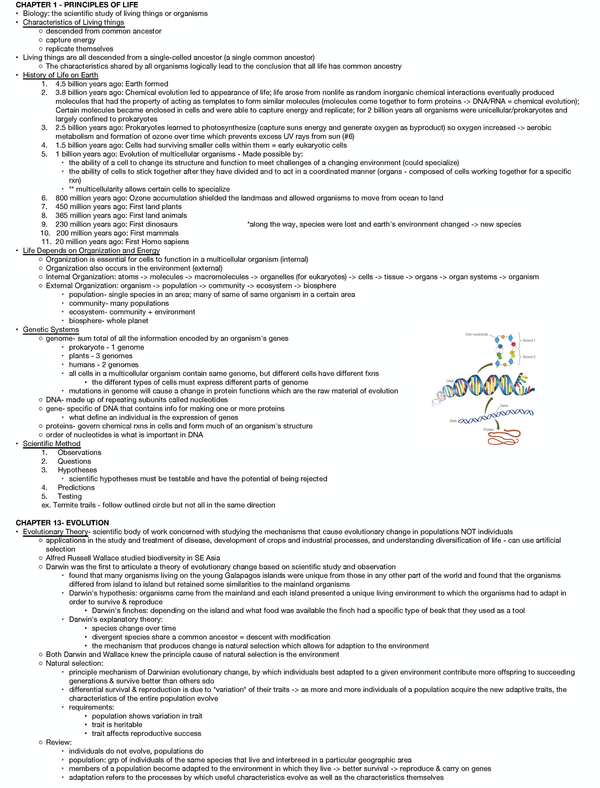 Bio Exam 1 Review - CHAPTER 1 - PRINCIPLES OF LIFE Biology: The ...