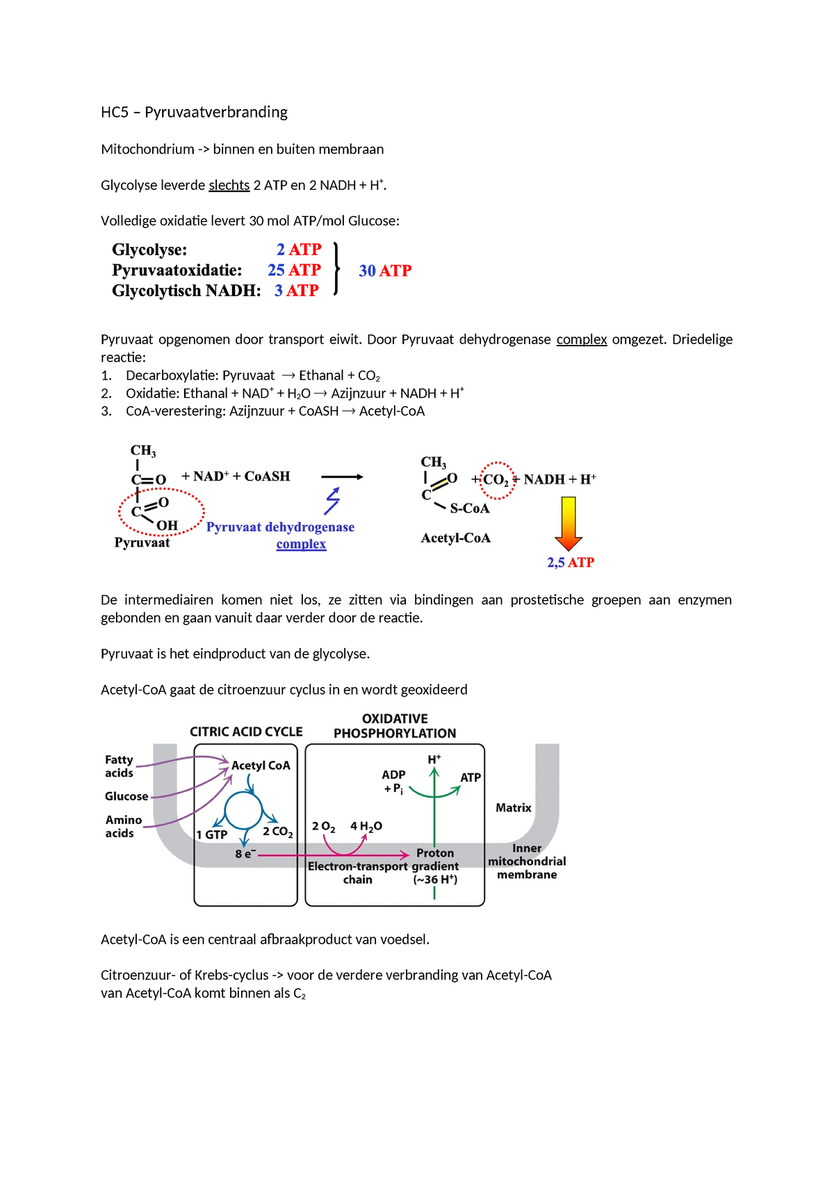 Aantekeningen HC5 – Pyruvaatverbranding - HC5 – Pyruvaatverbranding ...