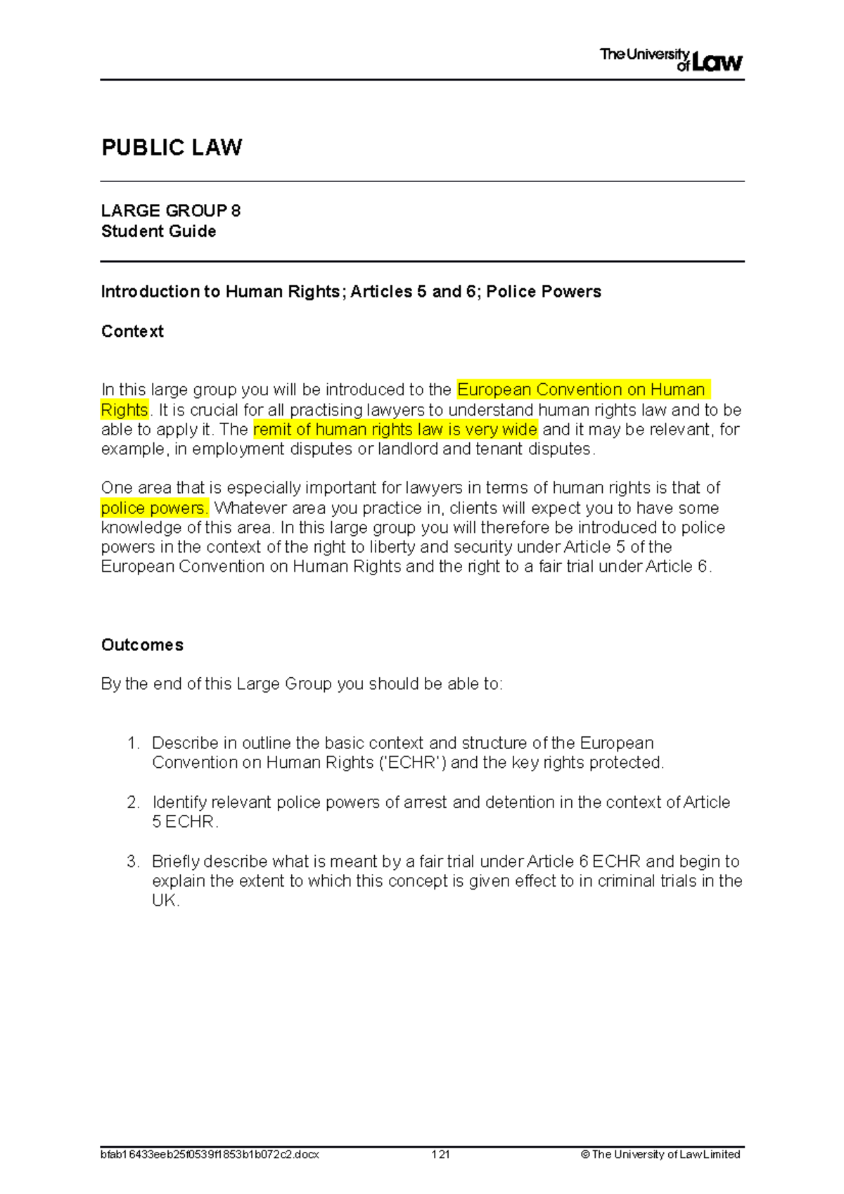 Public Law Large Group 8 word - PUBLIC LAW LARGE GROUP 8 Student Guide ...