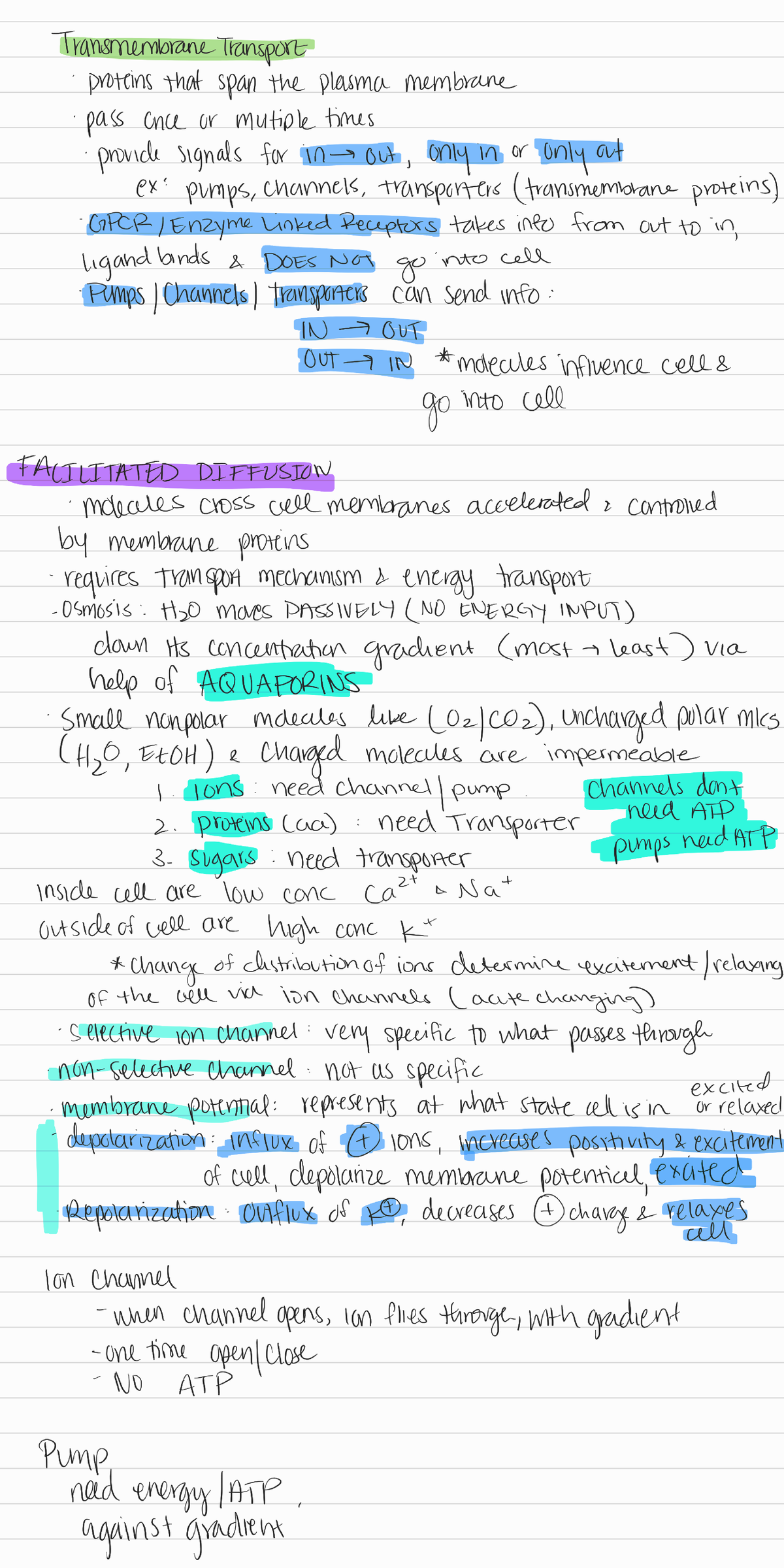 12 Membrane transporter, pumps, ion channels - BIOL 300 - Studocu