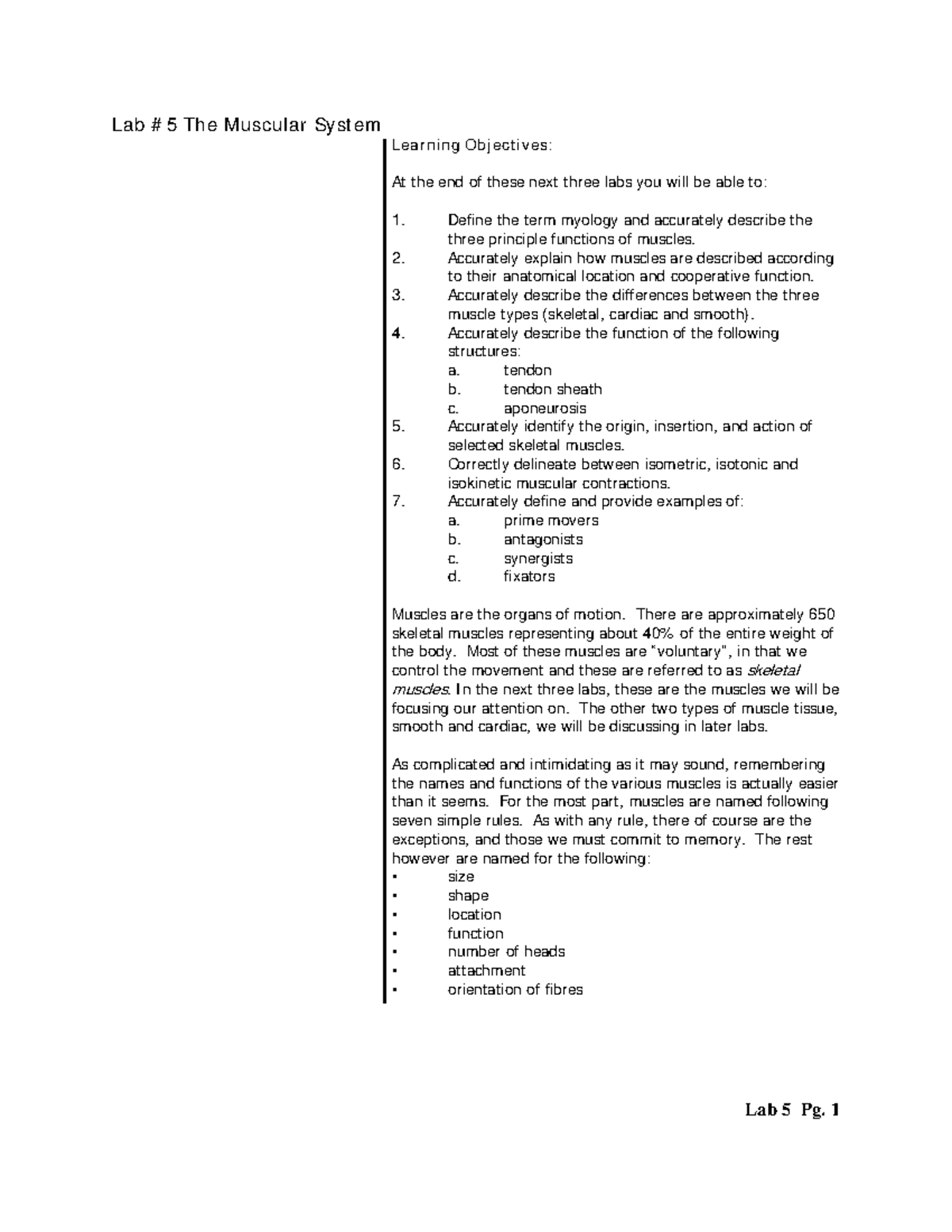 Labs 5,6, 7 - Muscular System - Lab #5 The Muscular System Learning ...