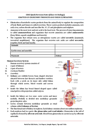 11 biology notes ch19 excretory products and their elimination