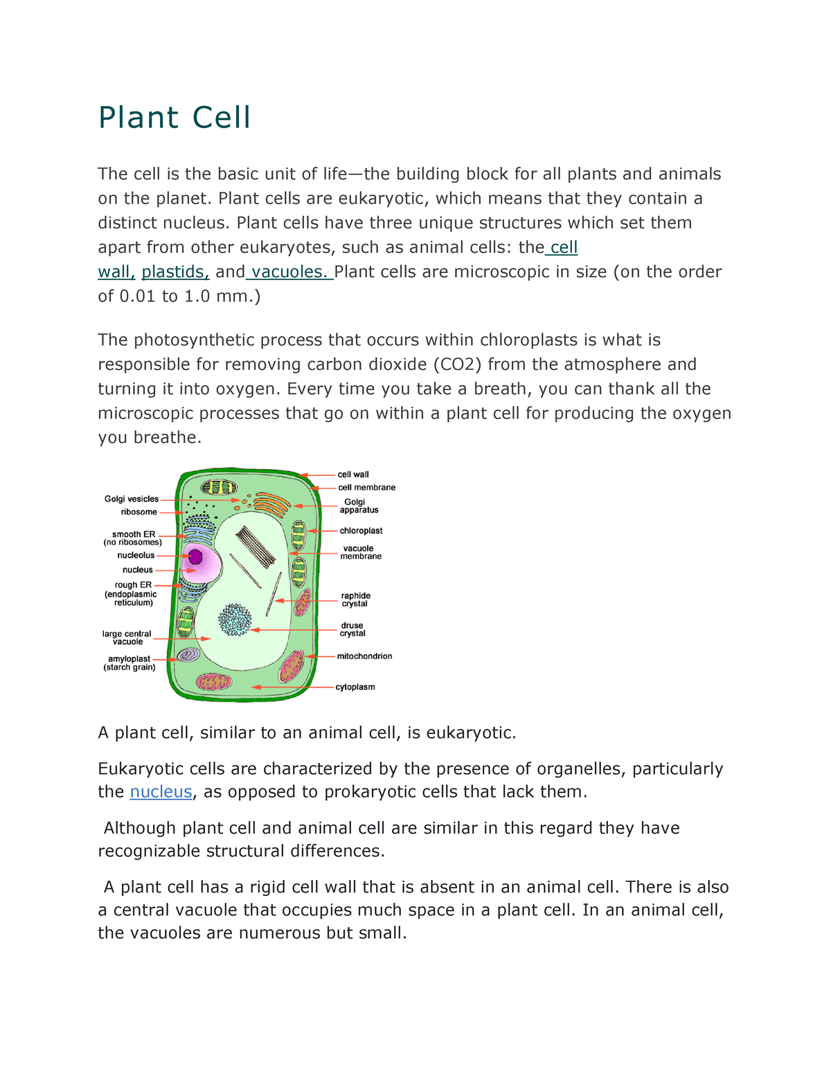 Plant Cell - Lecture notes 15 - Plant Cell The cell is the basic