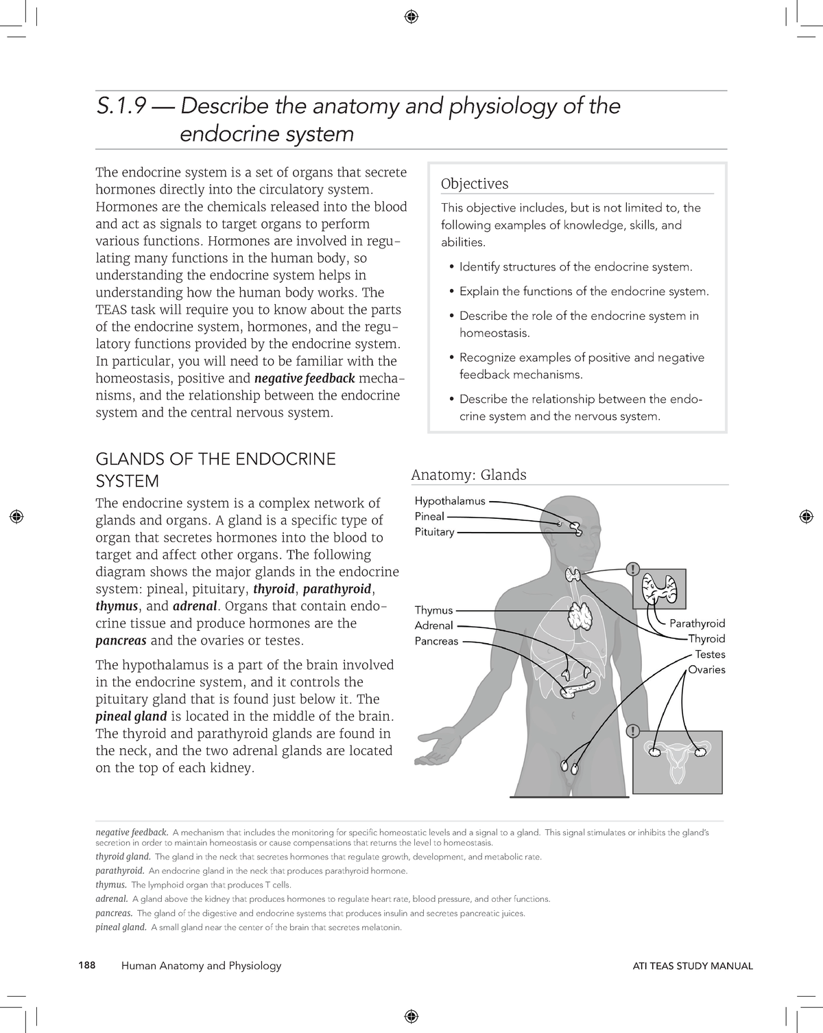 Focused Review Endocrine System Human Anatomy And Physiology Ati Teas Study Manual S