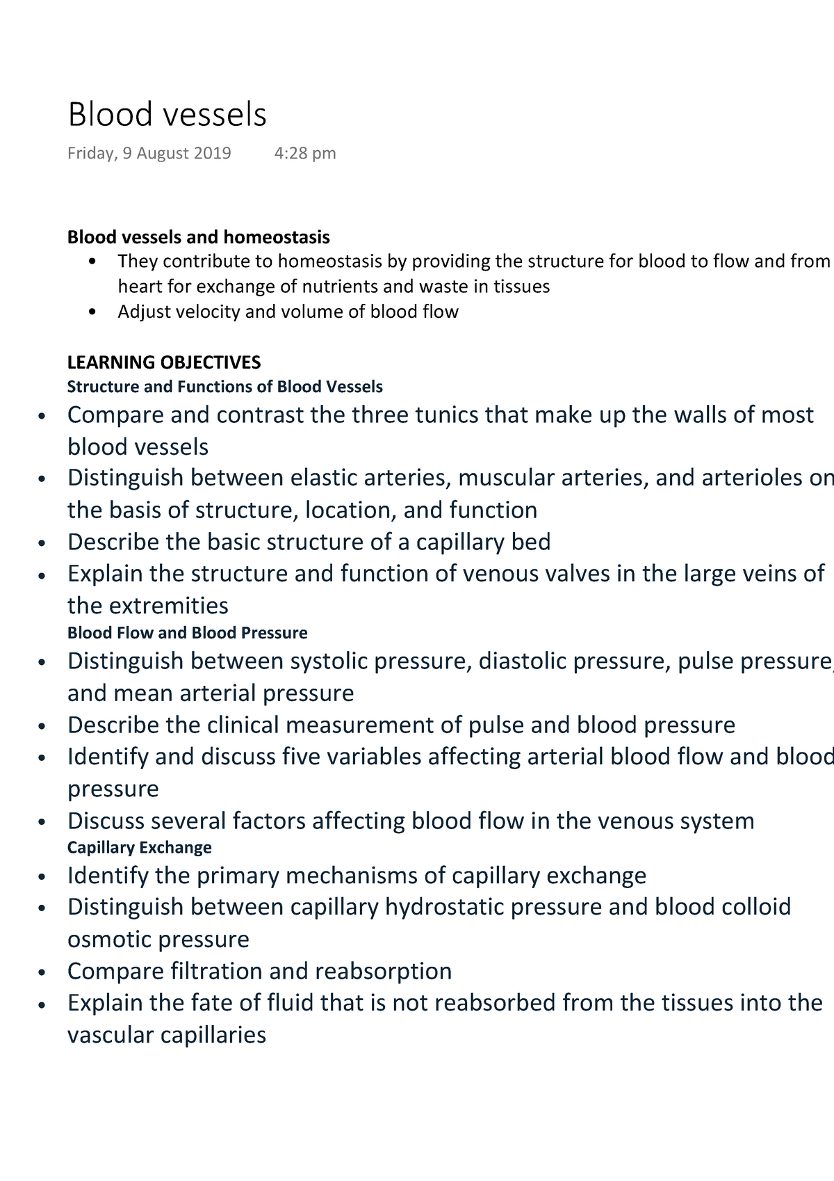 essay on blood vessels