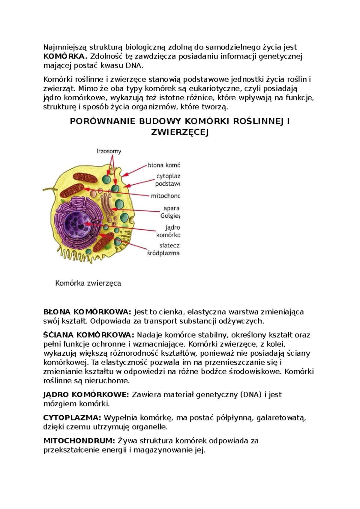 Biologia - Różnice w budowie komórki roślinnej i zwierzęcej