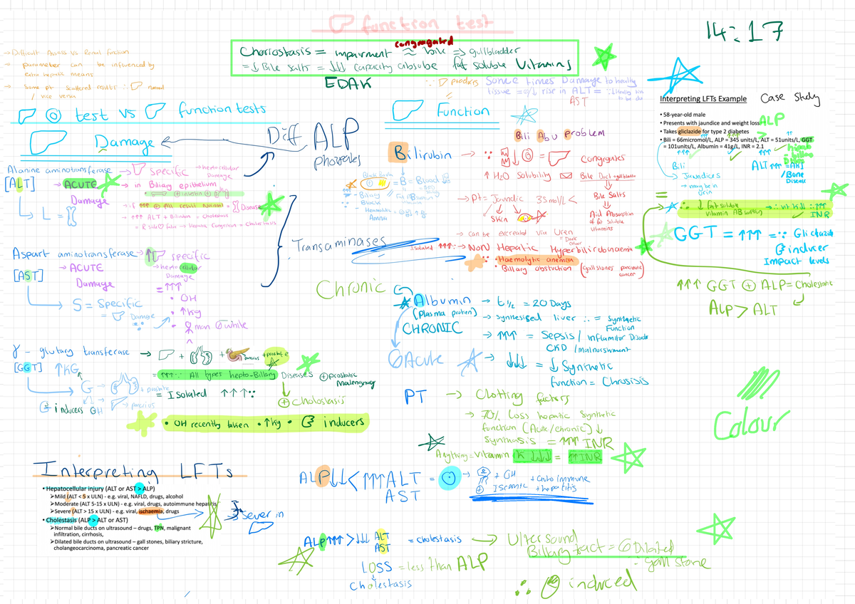 Cheat Sheet Liver Lab - 6500PPPHAR - congregated = - Studocu