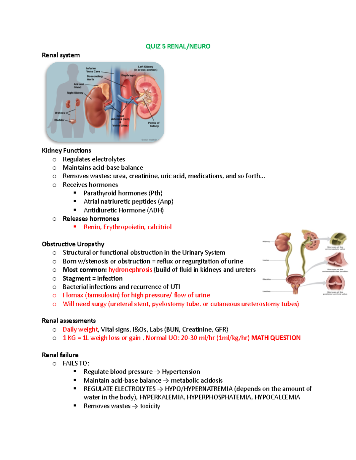 Quiz 5 Renal- Neuro Pdf - Quiz 5 Notes - Quiz 5 Renal Neuro Renal 