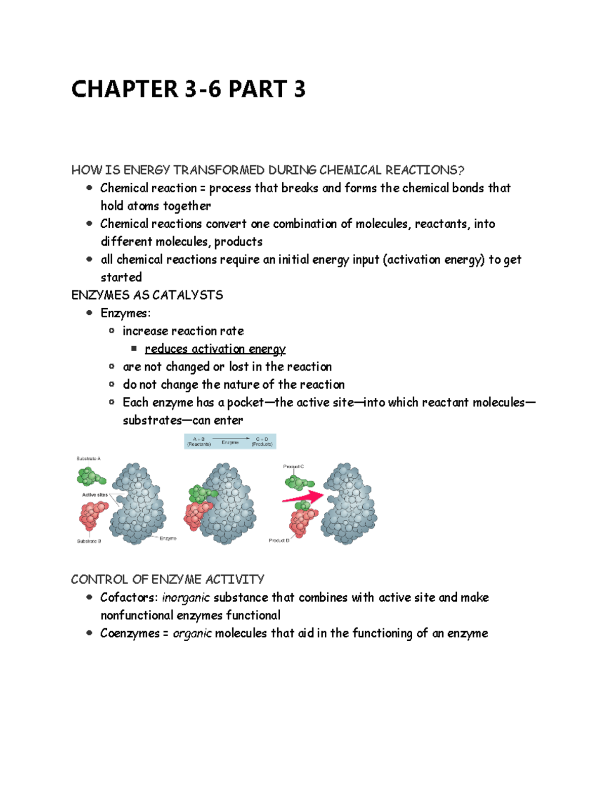 Chapter 3-6 PART 3 - Physiology Lecture Notes - CHAPTER 3-6 PART 3 HOW ...