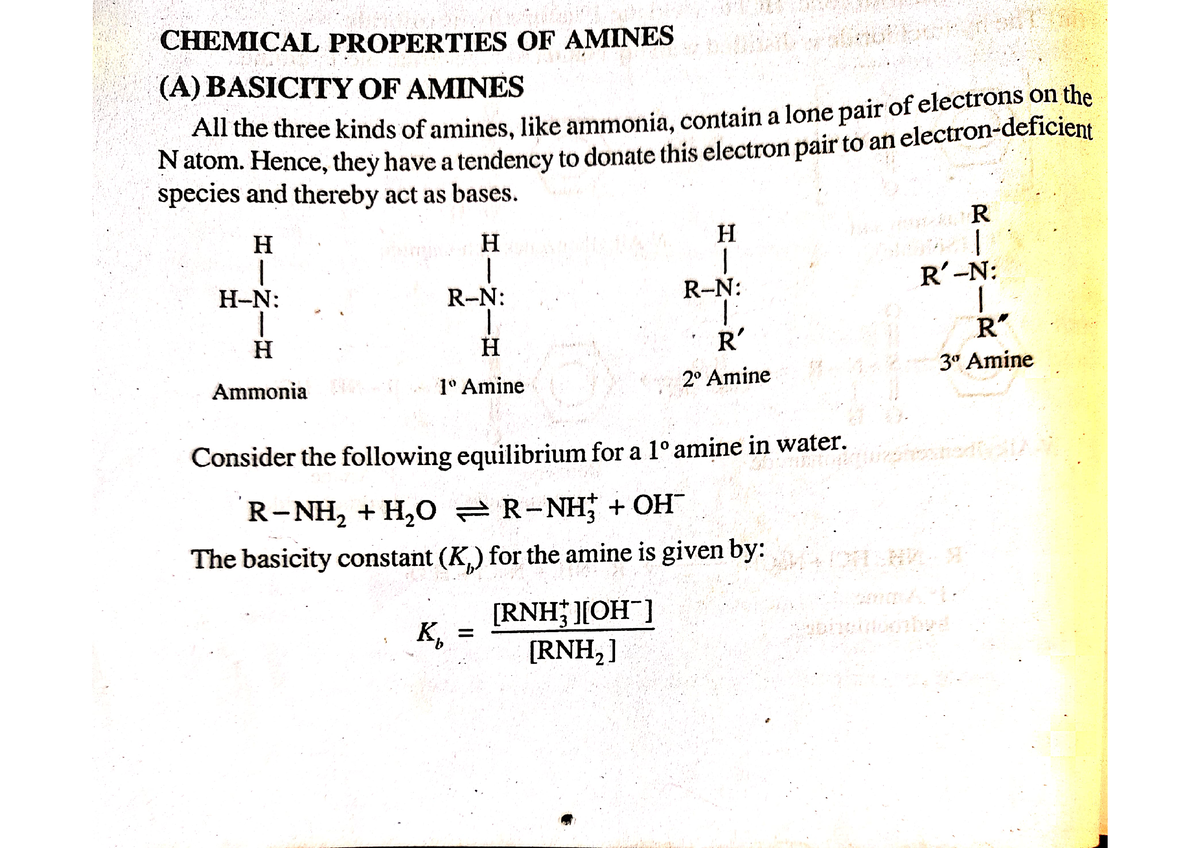 Chemical Properties Of Amines 4 - Chemistry - Studocu