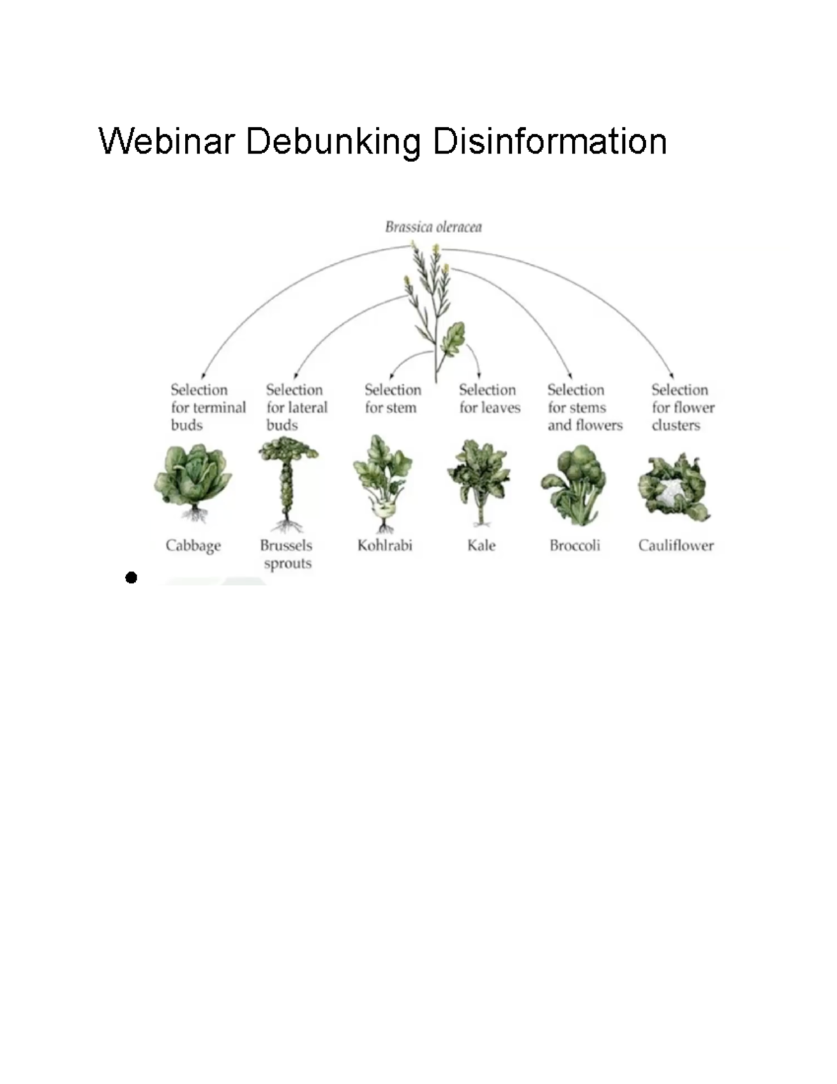 3355 week 10 - 3355 - Webinar Debunking Disinformation Failure of ...