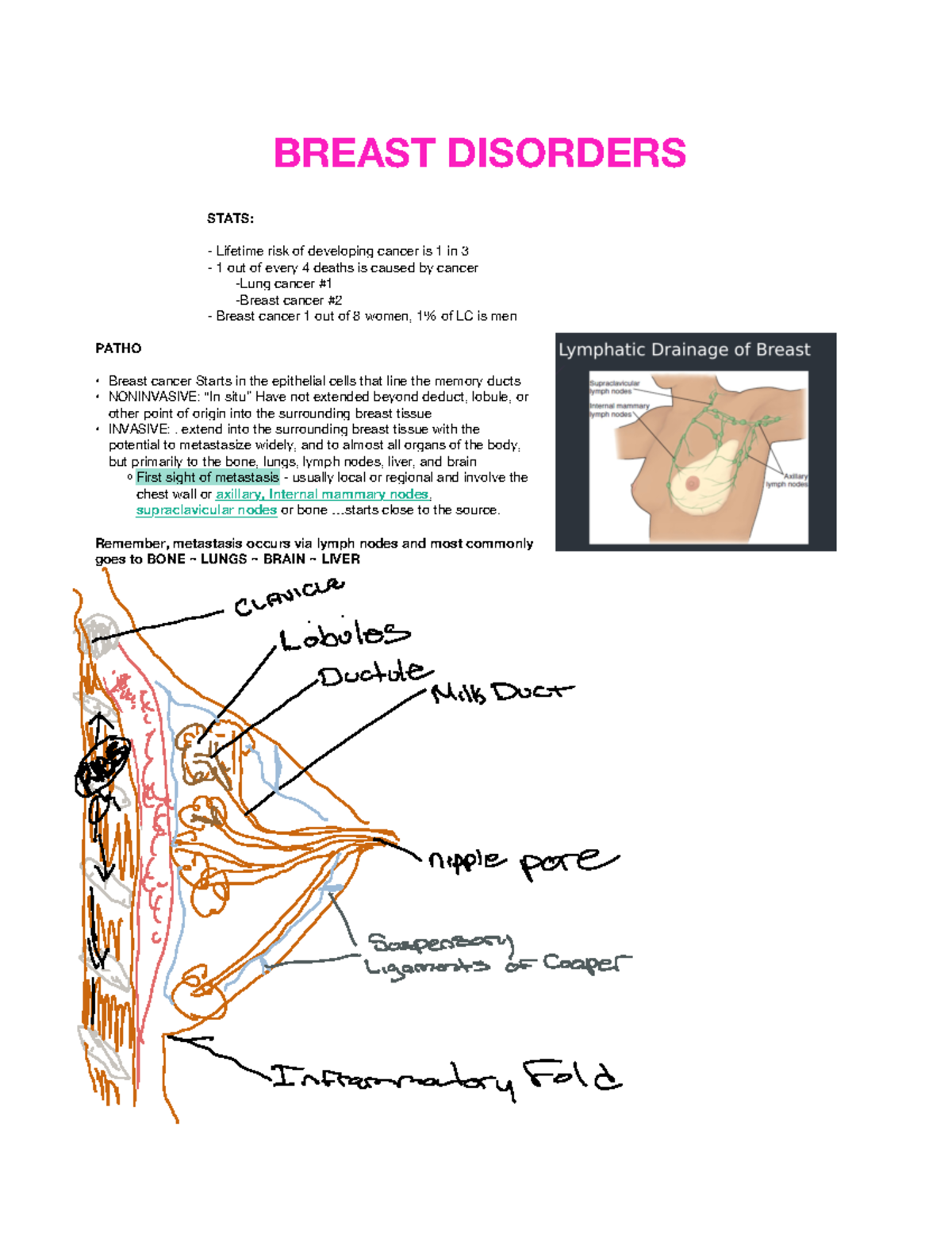 Breast Disorders Notes - BREAST DISORDERS STATS: Lifetime risk of ...
