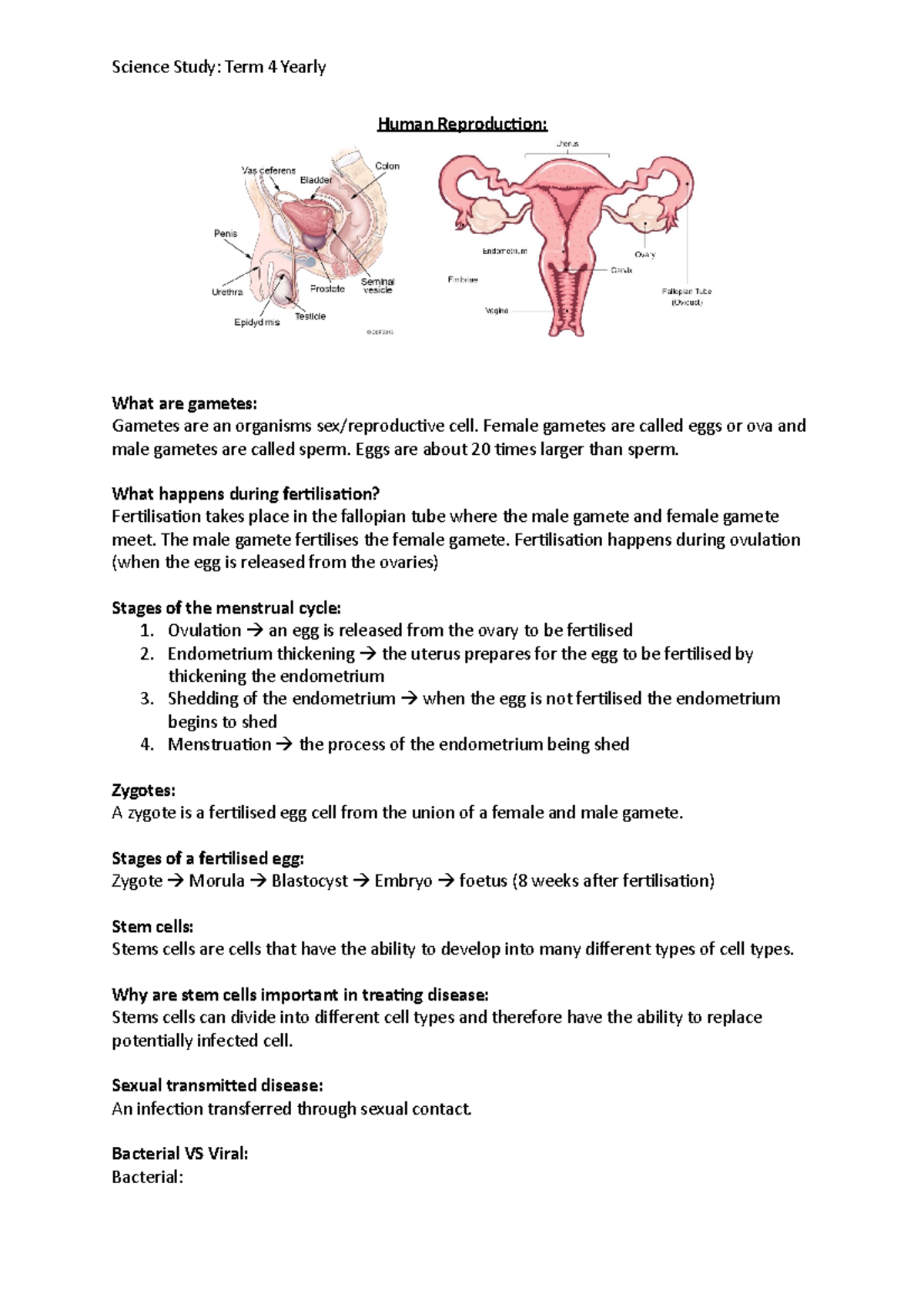 Human Reproduction study - Science Study: Term 4 Yearly Human ...