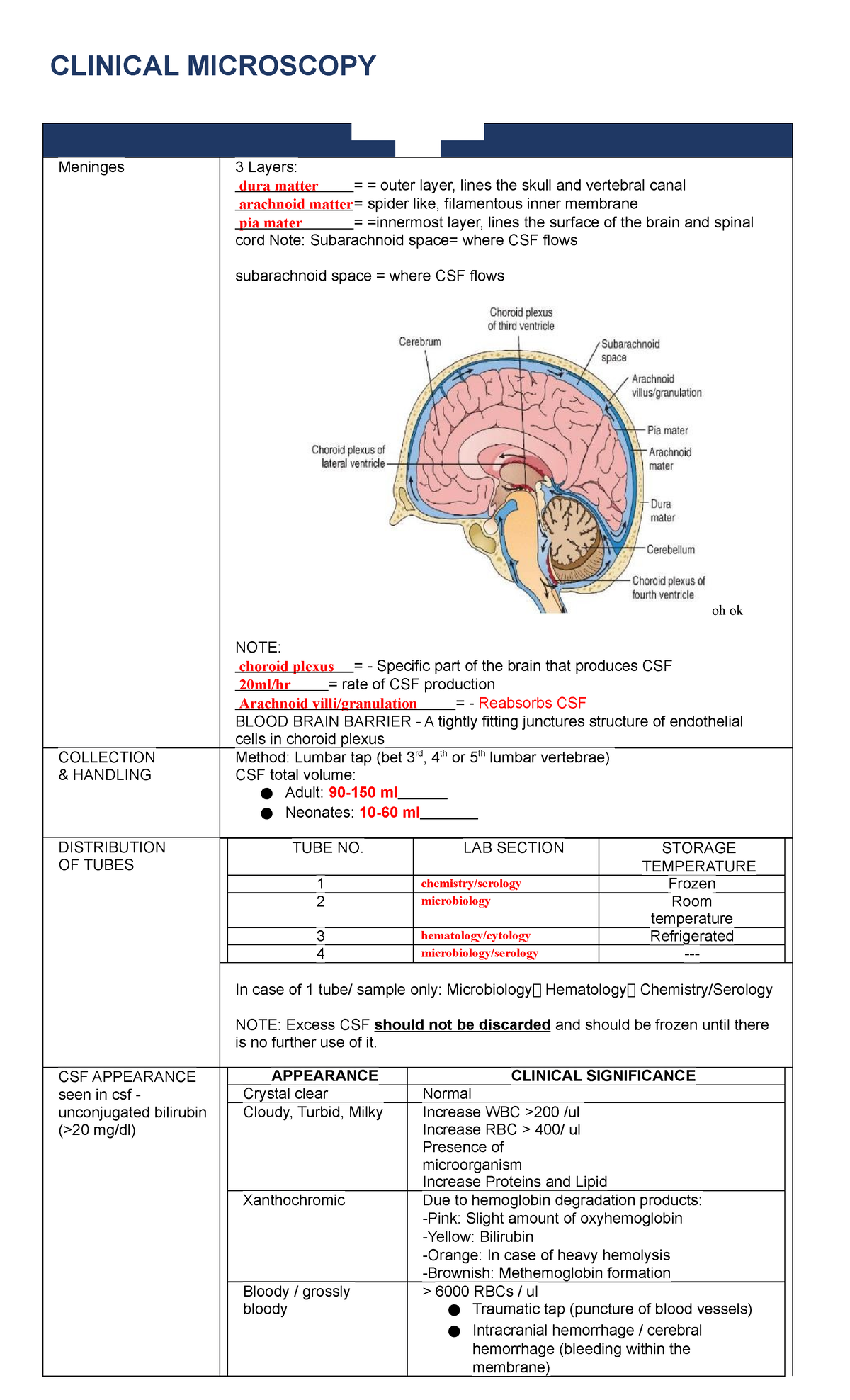 CM-PART-2-2 (1) - clinical microscopy - CLINICAL MICROSCOPY ...