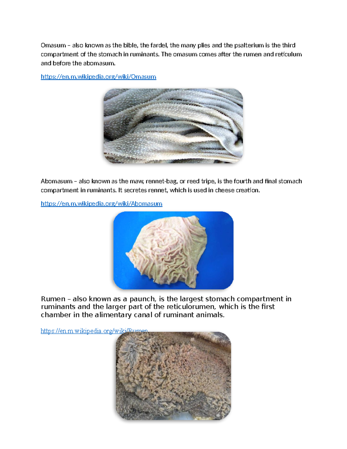 Ruminants - Give the information that I need. - Omasum – also known as ...